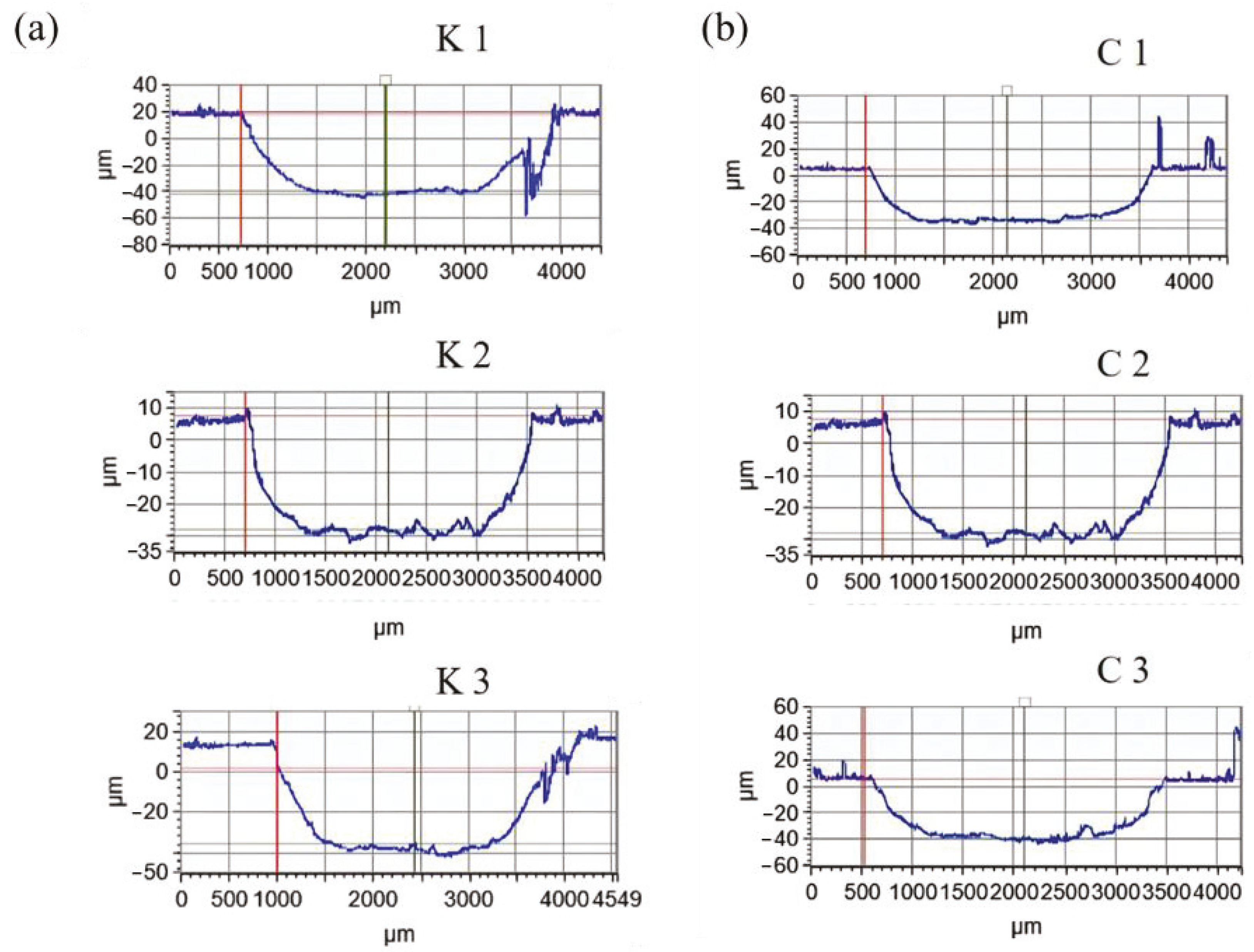 Coatings 14 00516 g009