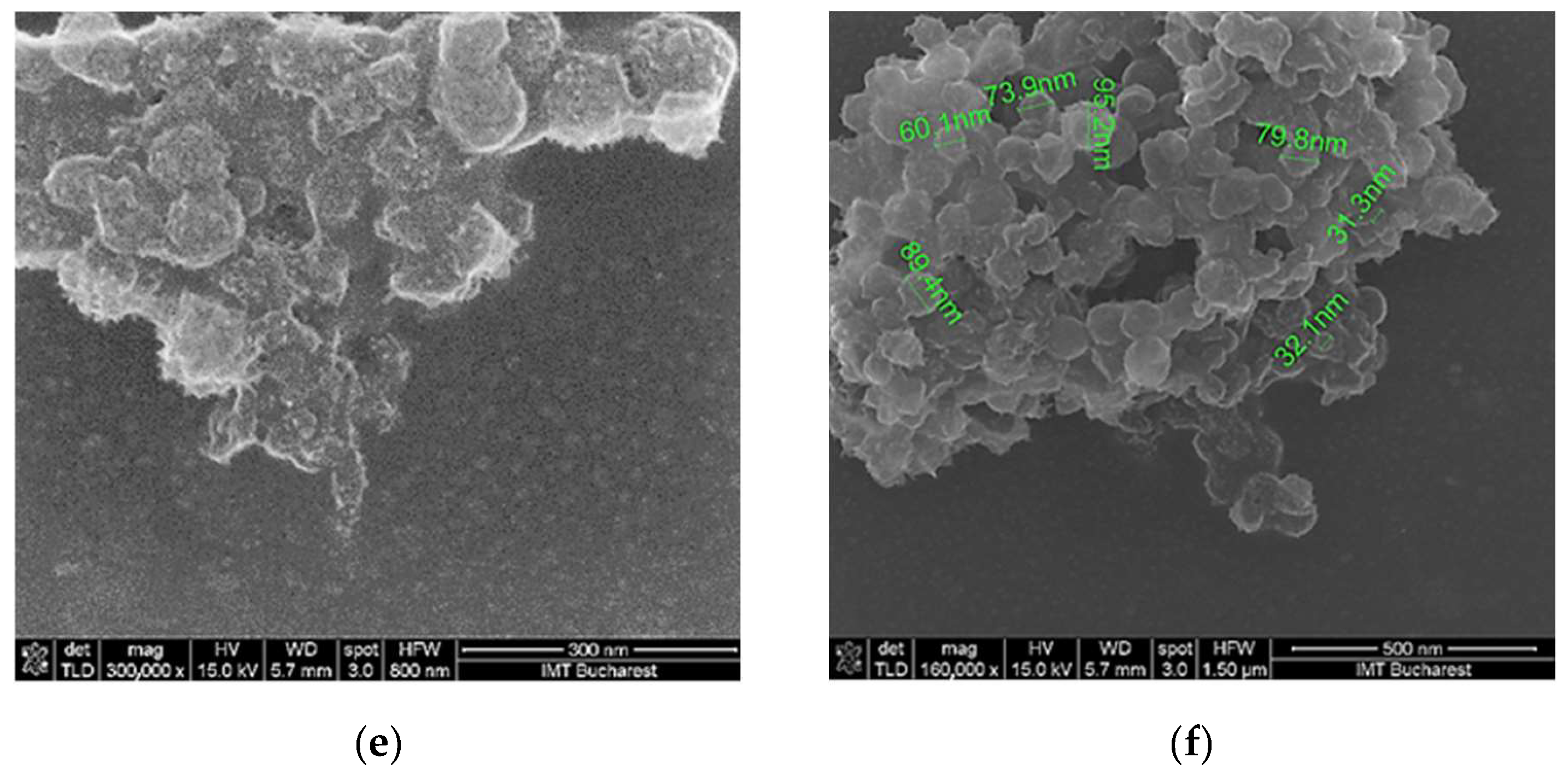 Coatings 14 00517 g004b