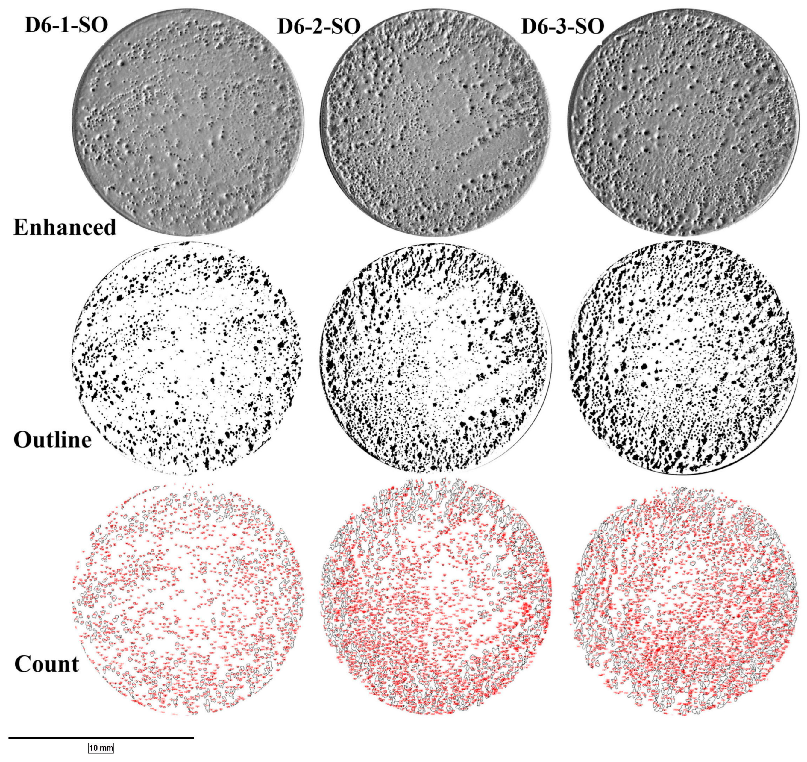 Coatings 14 00518 g003