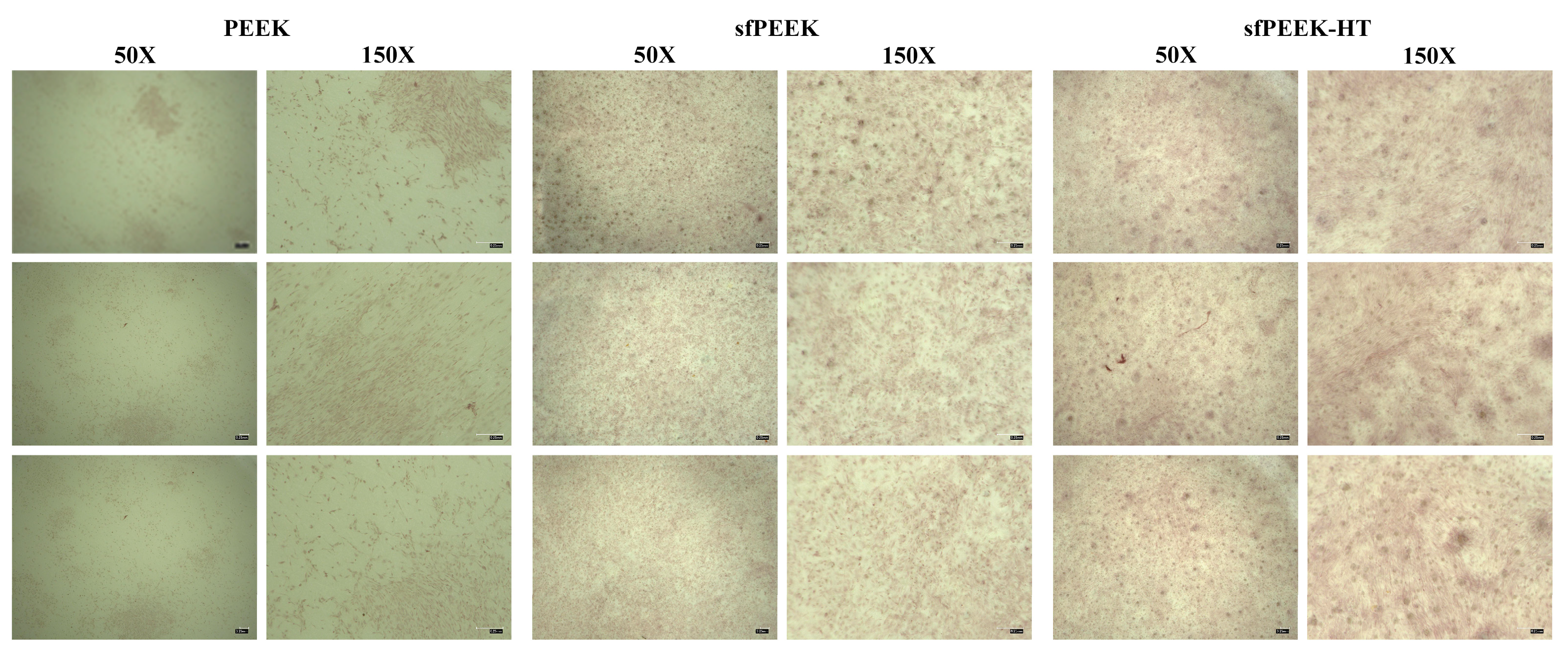 Coatings 14 00518 g008