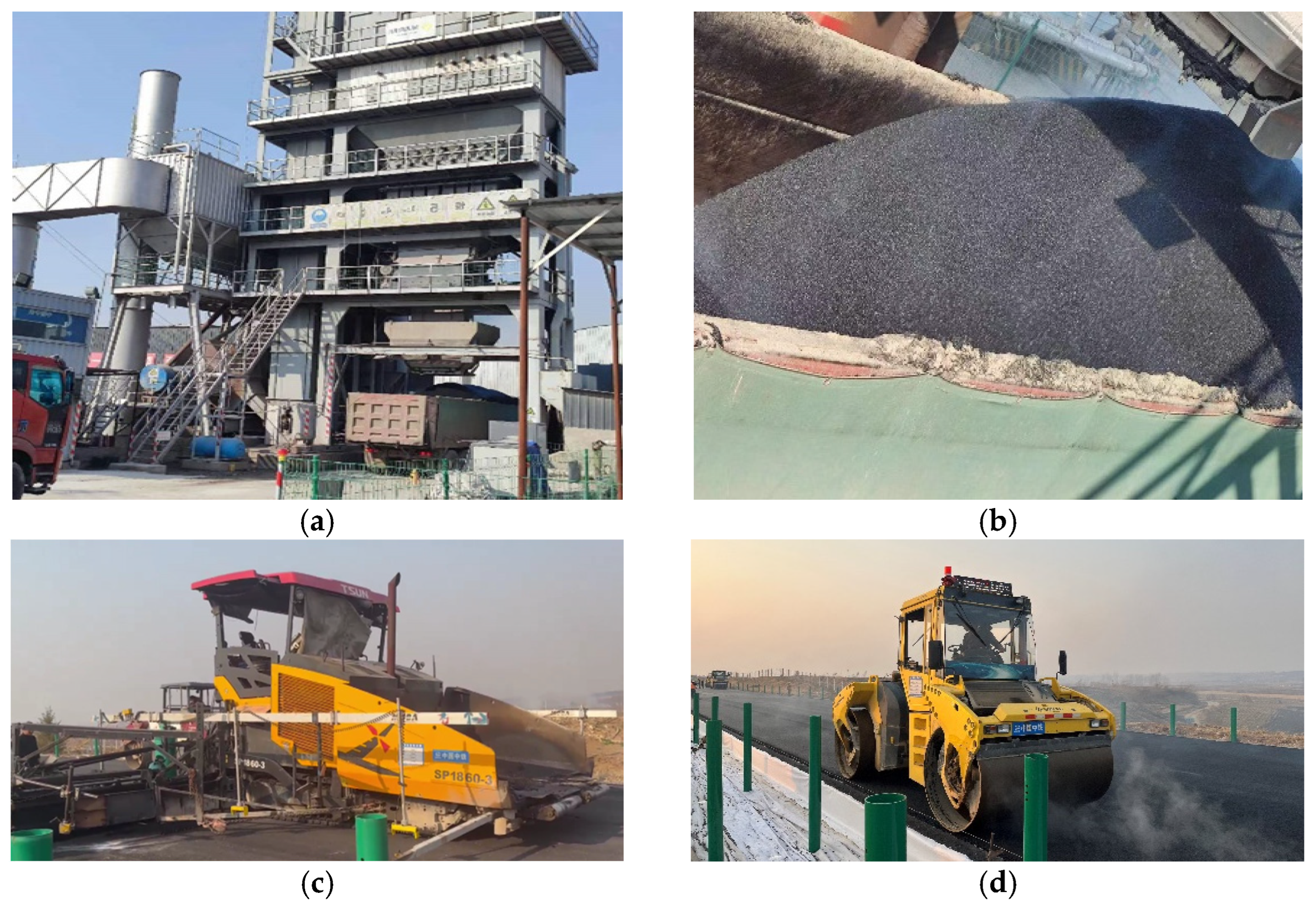 Coatings 14 00519 g011