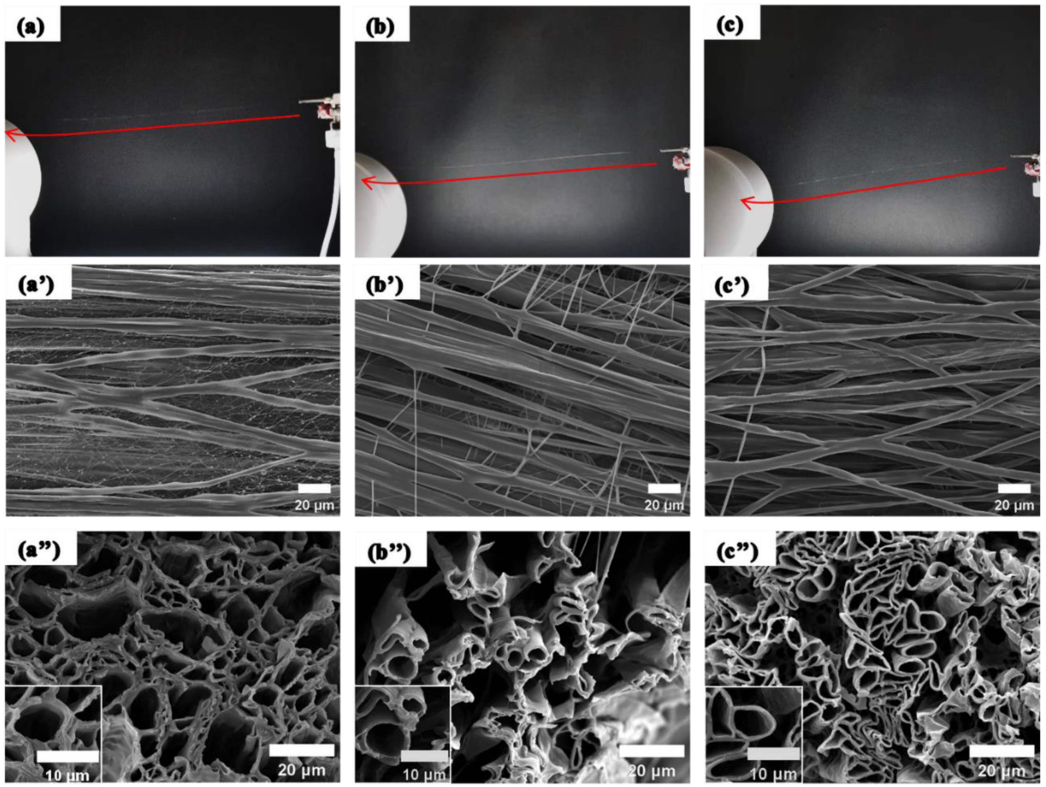 Coatings 14 00520 g002
