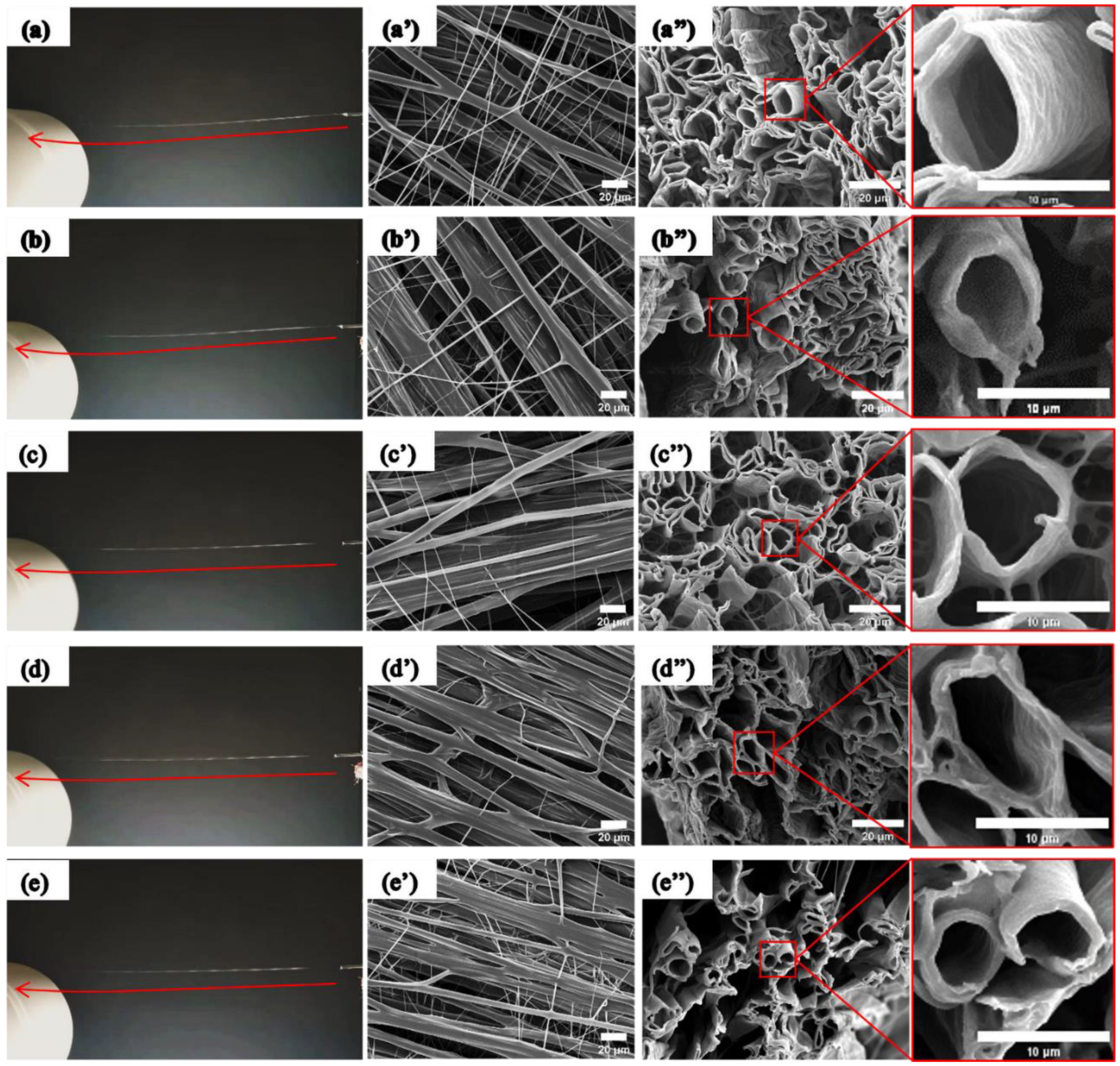 Coatings 14 00520 g006