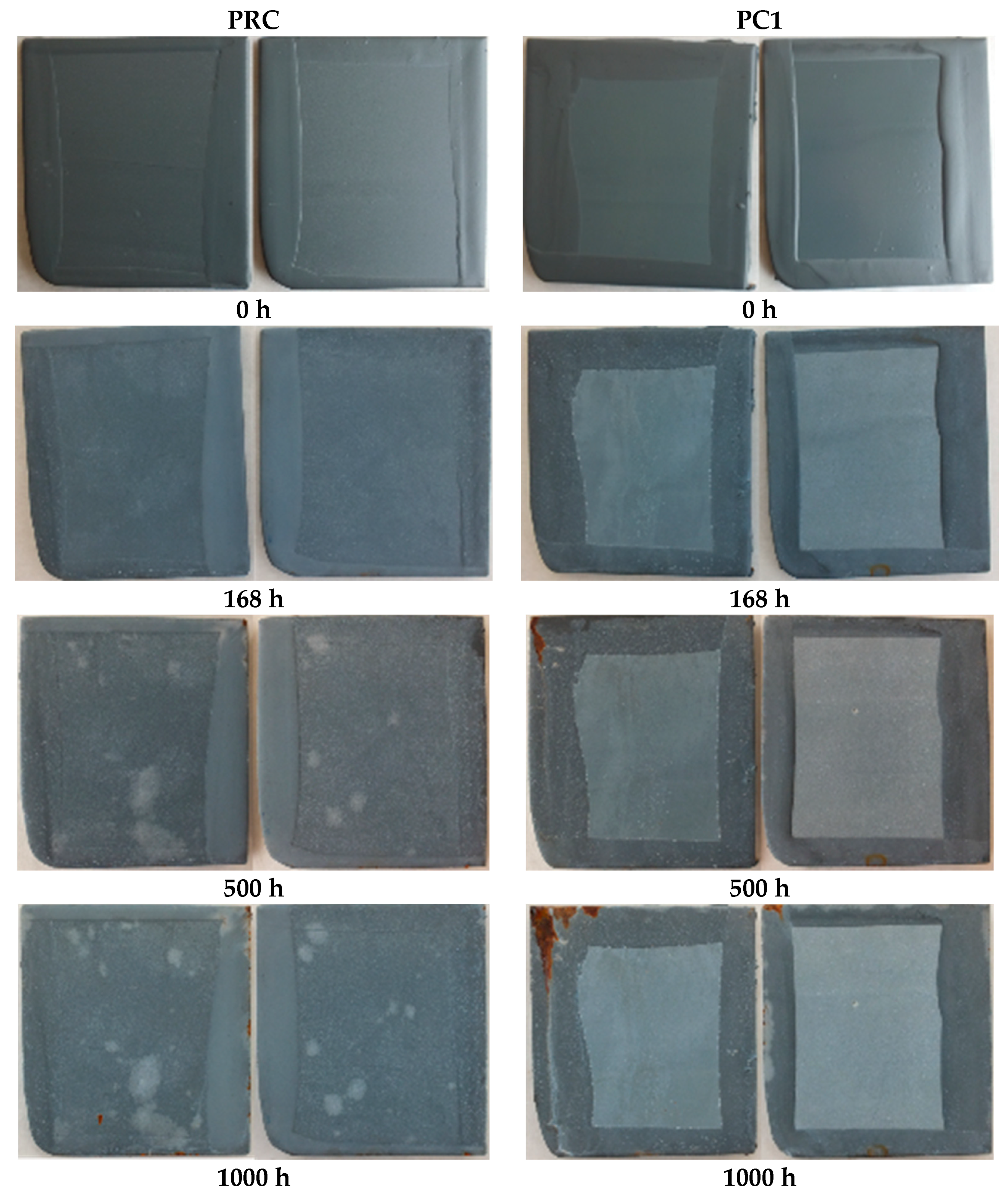 Coatings 14 00521 g004