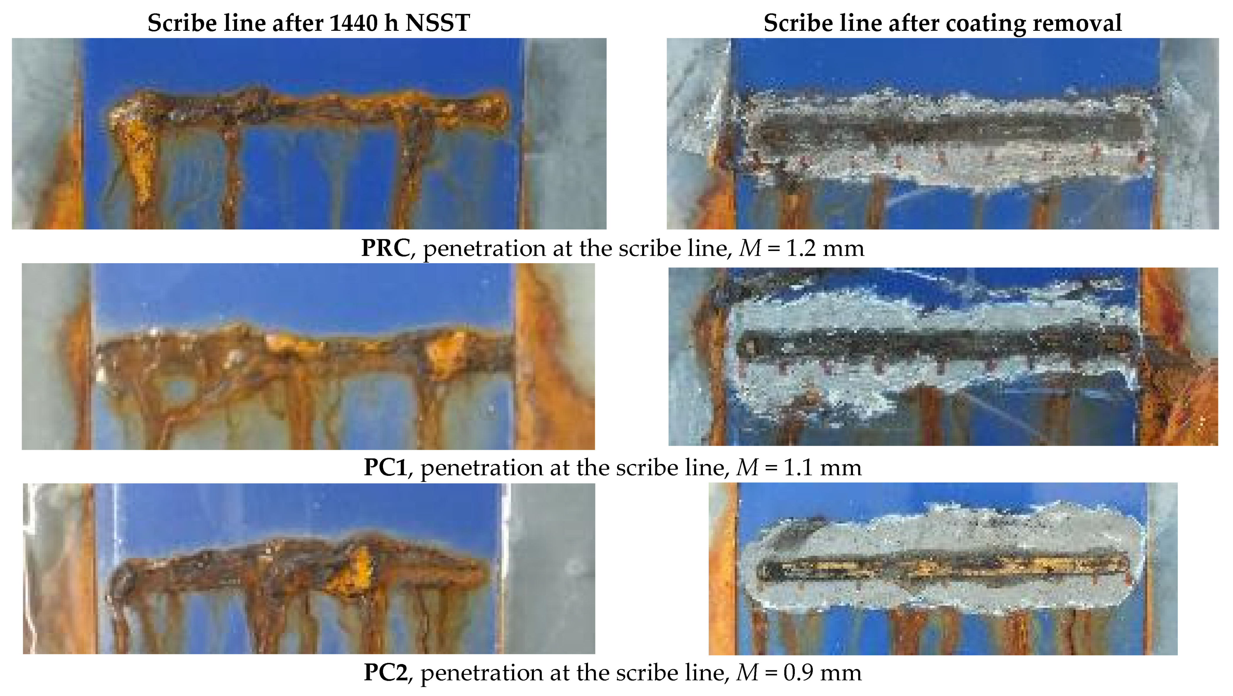 Coatings 14 00521 g009