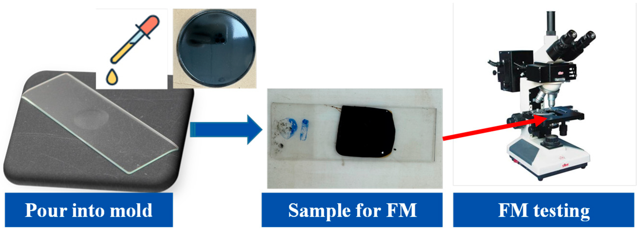 Coatings 14 00522 g003