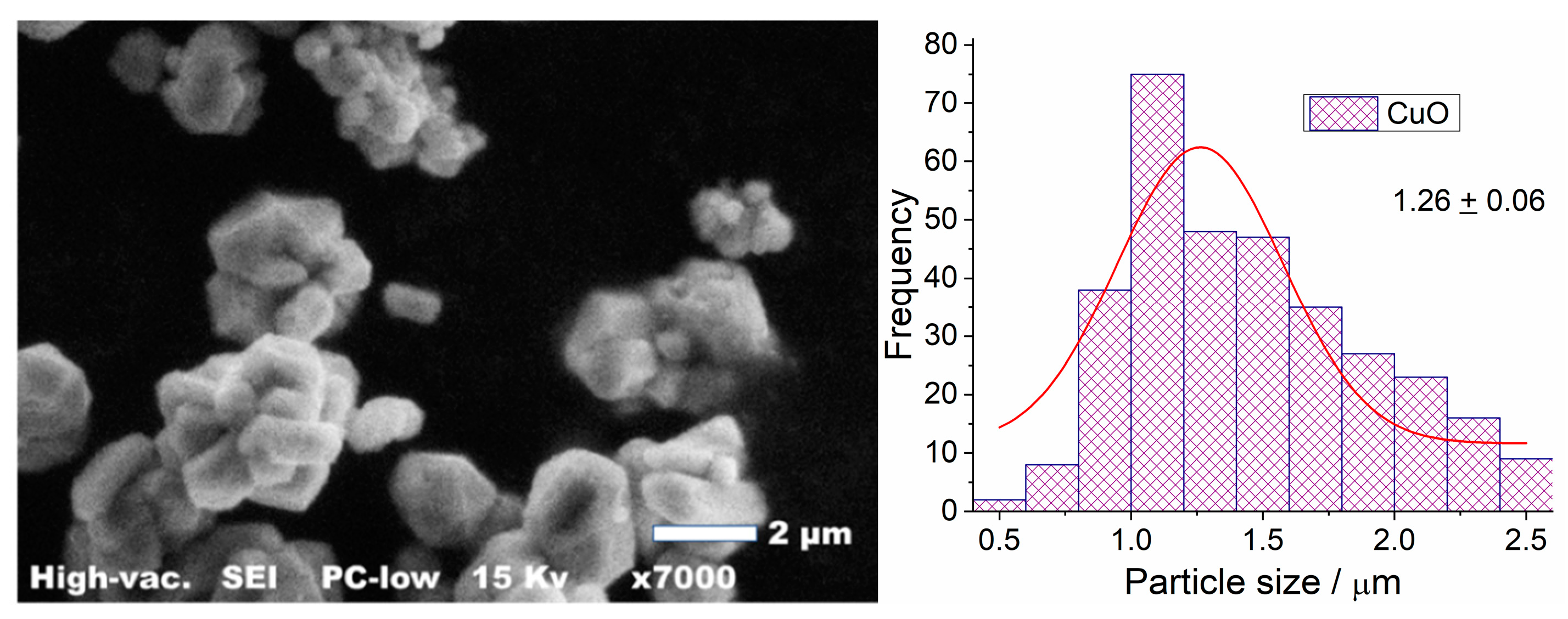 Coatings 14 00523 g004