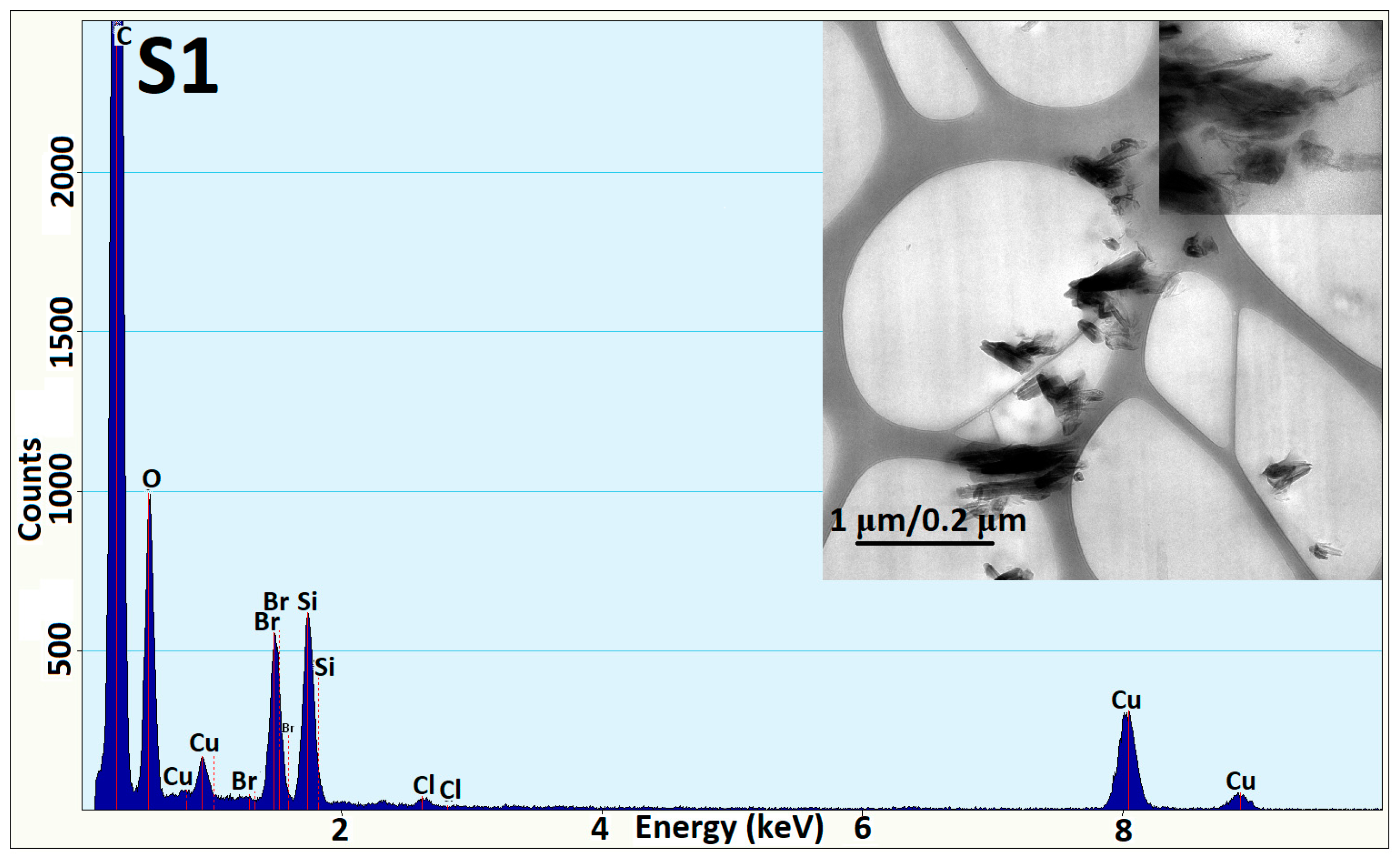 Coatings 14 00532 g006a