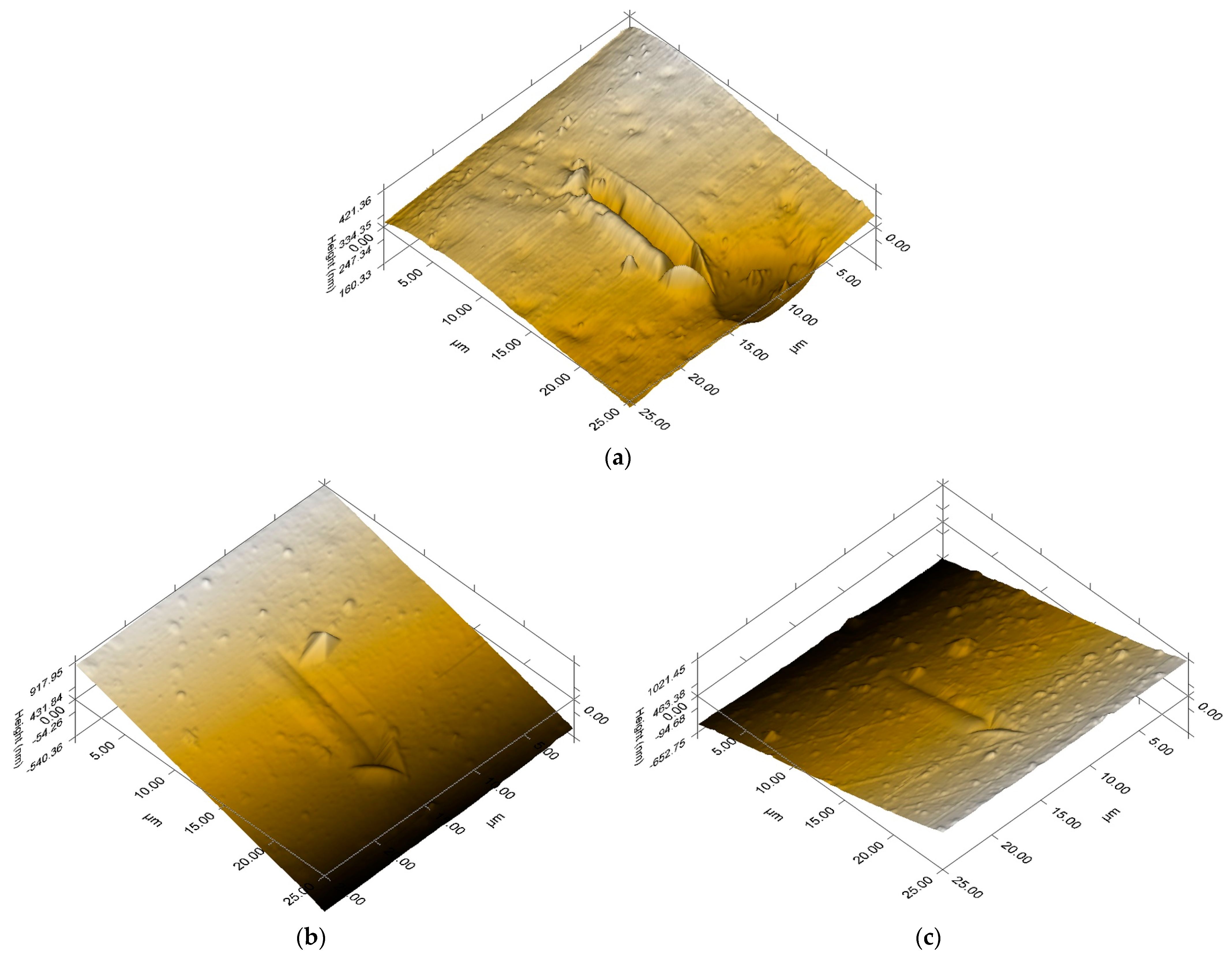Coatings 14 00532 g008