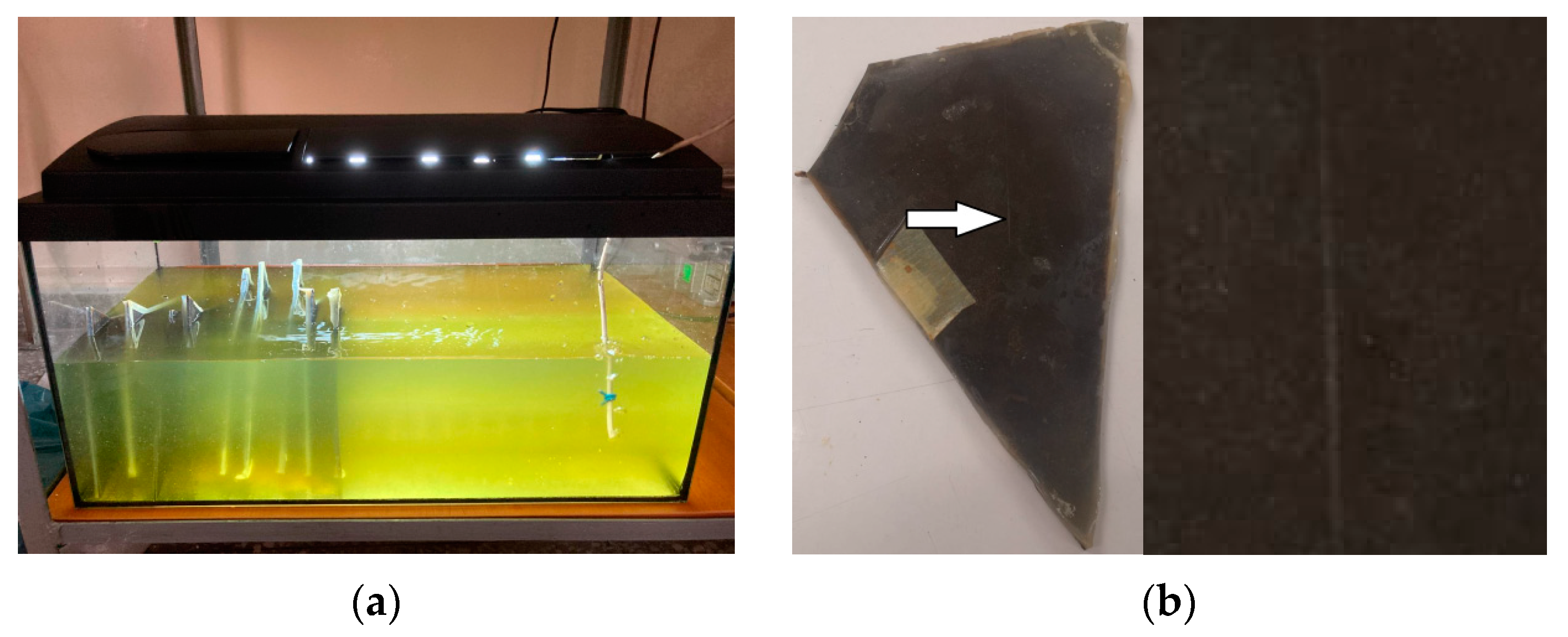 Coatings 14 00532 g009