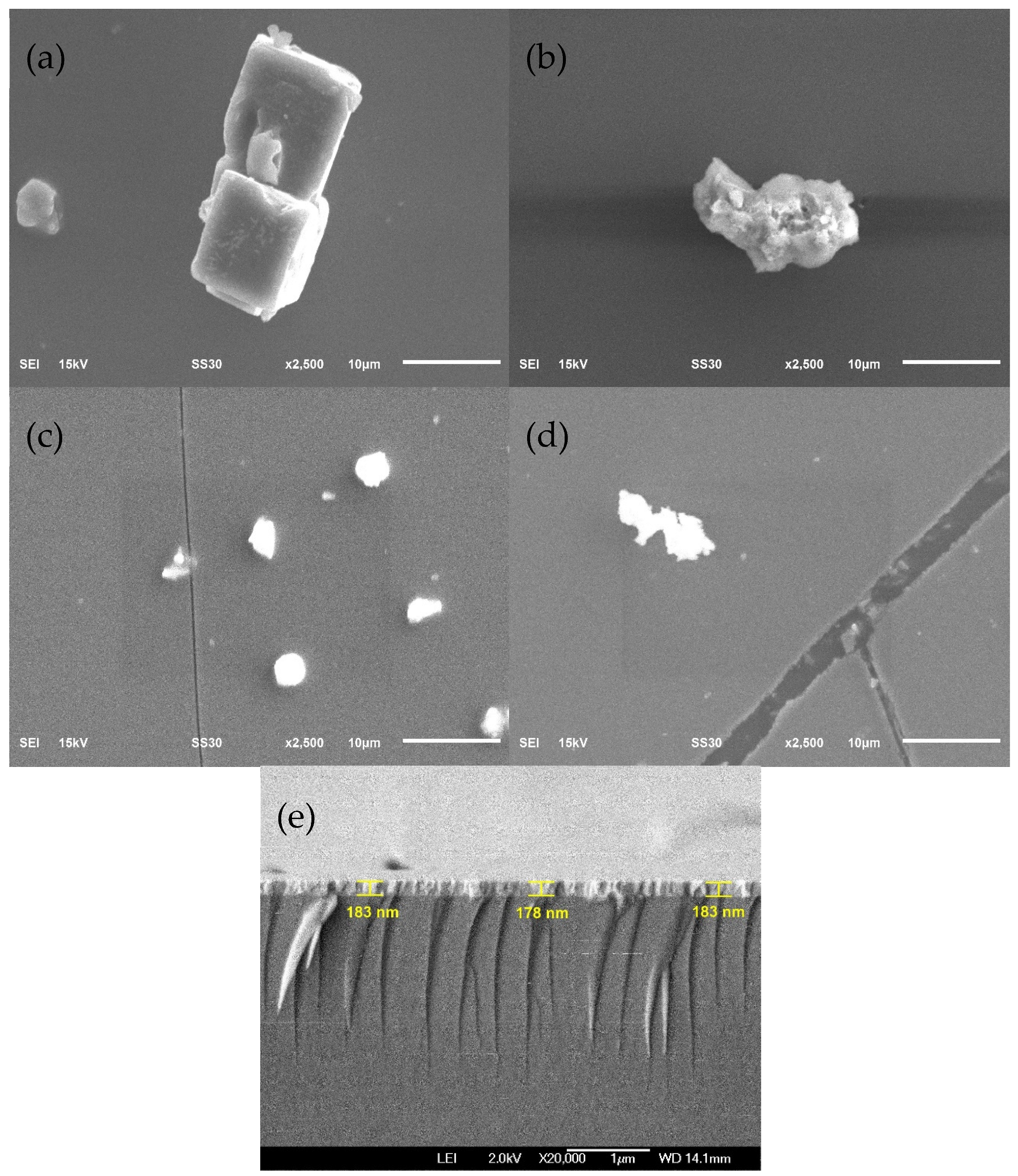 Coatings 14 00537 g006