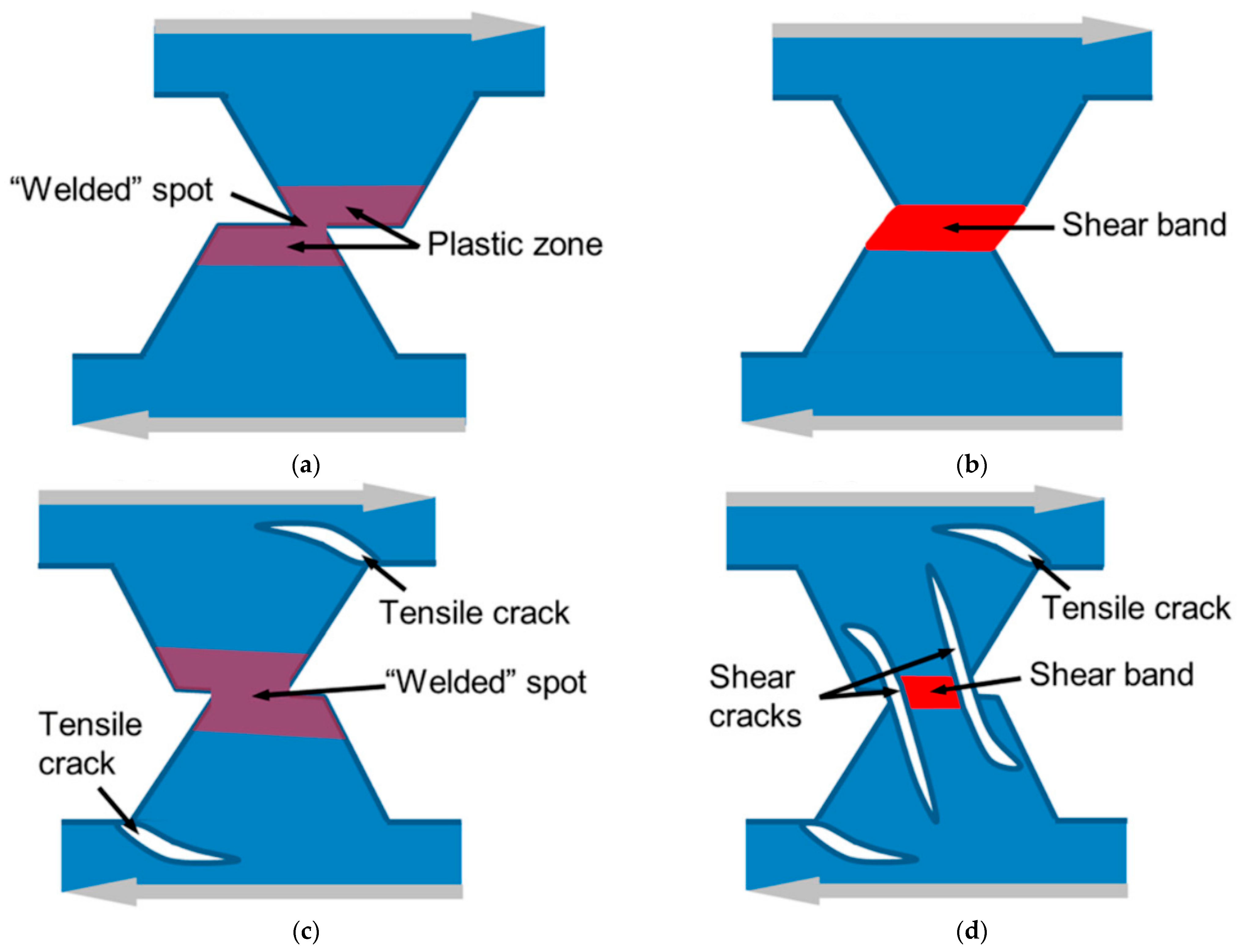 Coatings 14 00539 g010