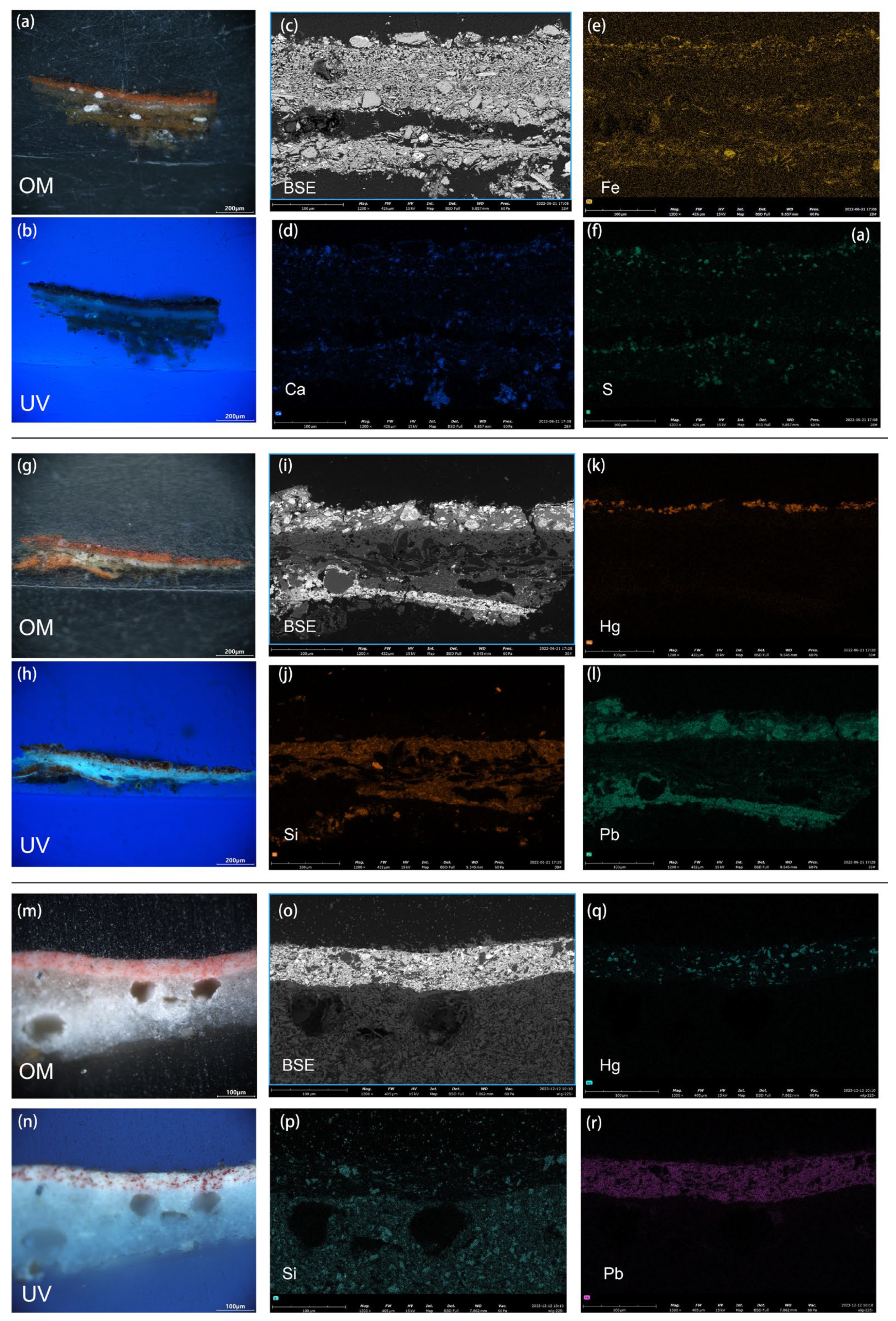 Coatings 14 00540 g003