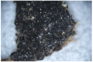 Coatings 14 00540 i014