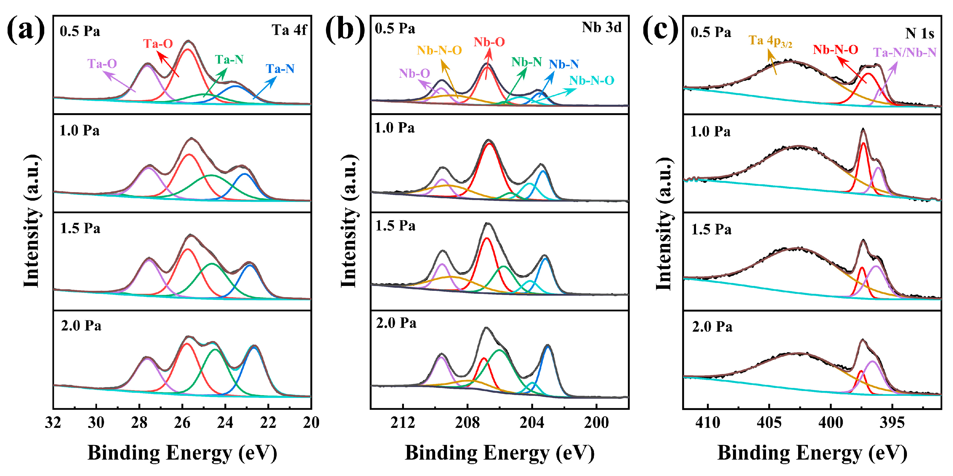 Coatings 14 00542 g003