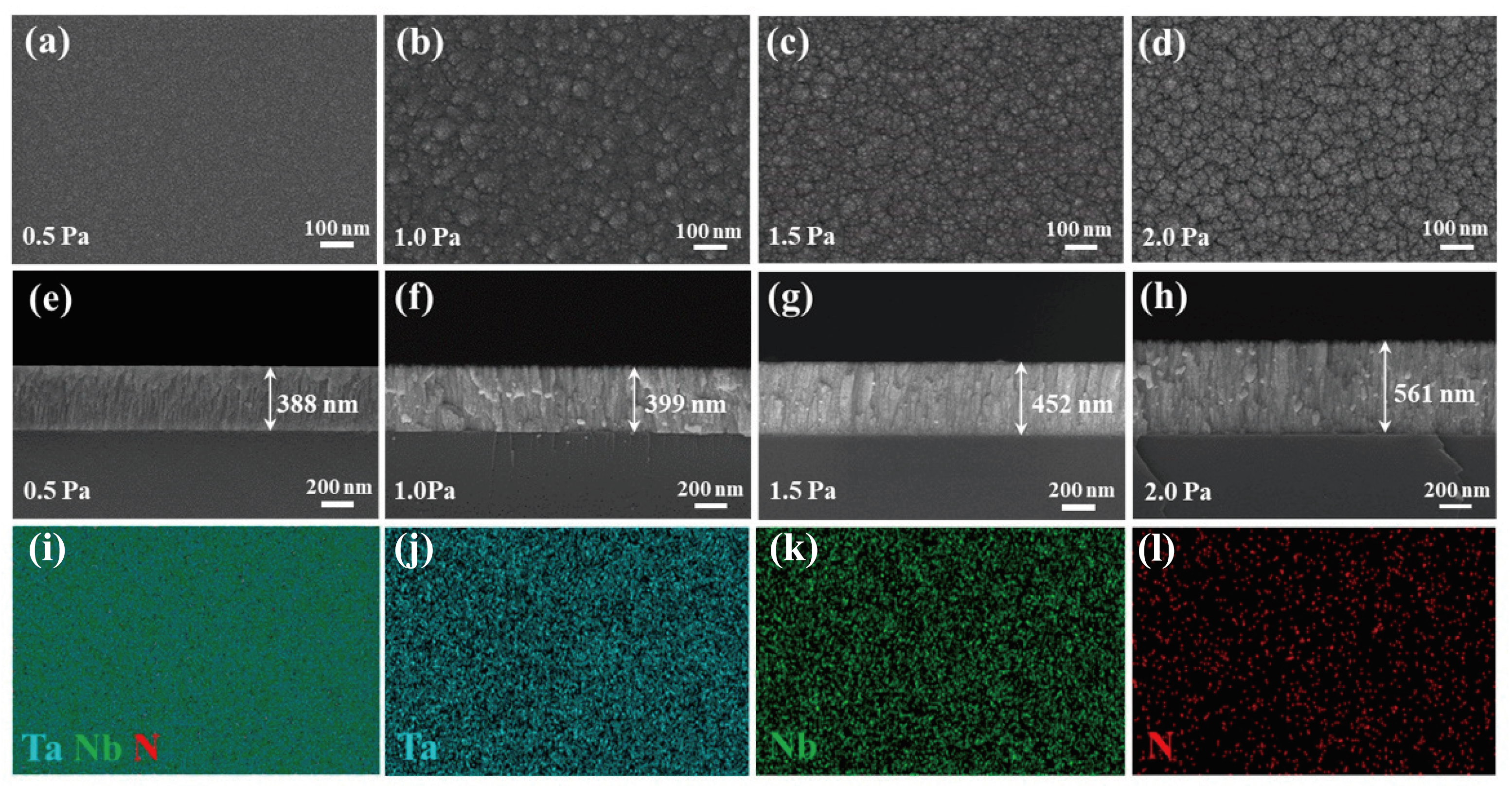 Coatings 14 00542 g004