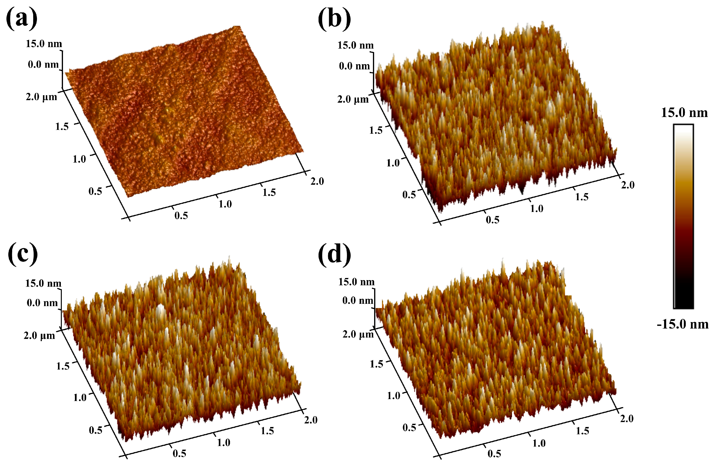 Coatings 14 00542 g005