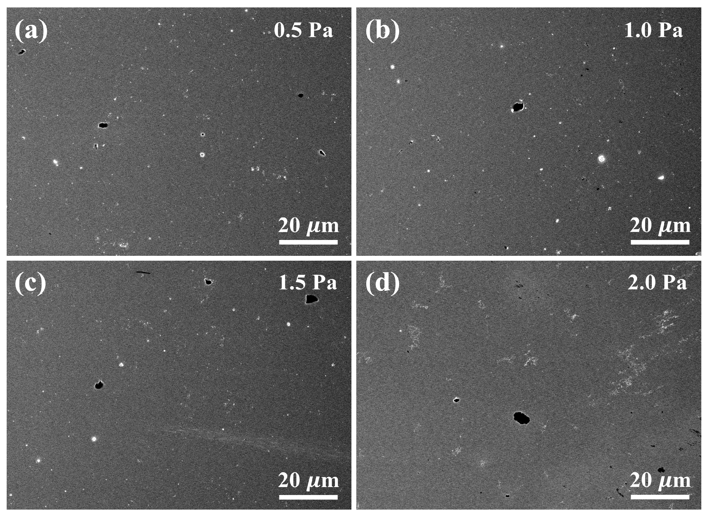 Coatings 14 00542 g008
