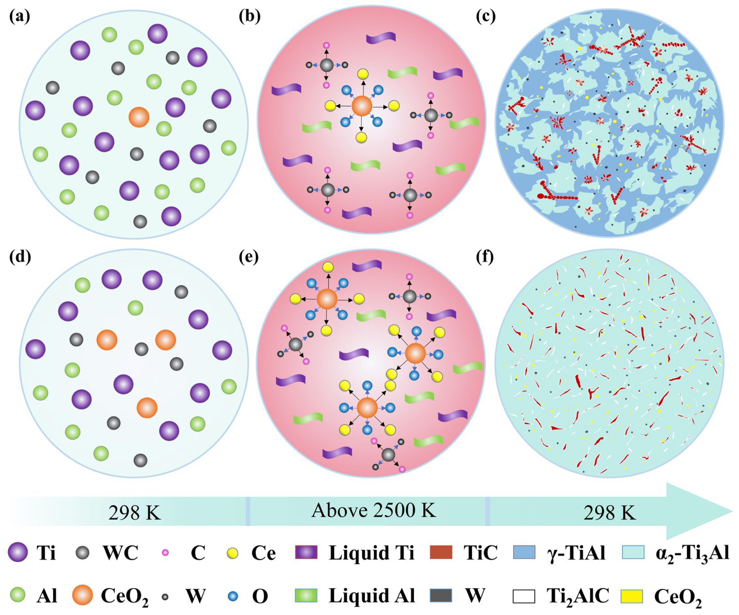 Coatings 14 00543 g006