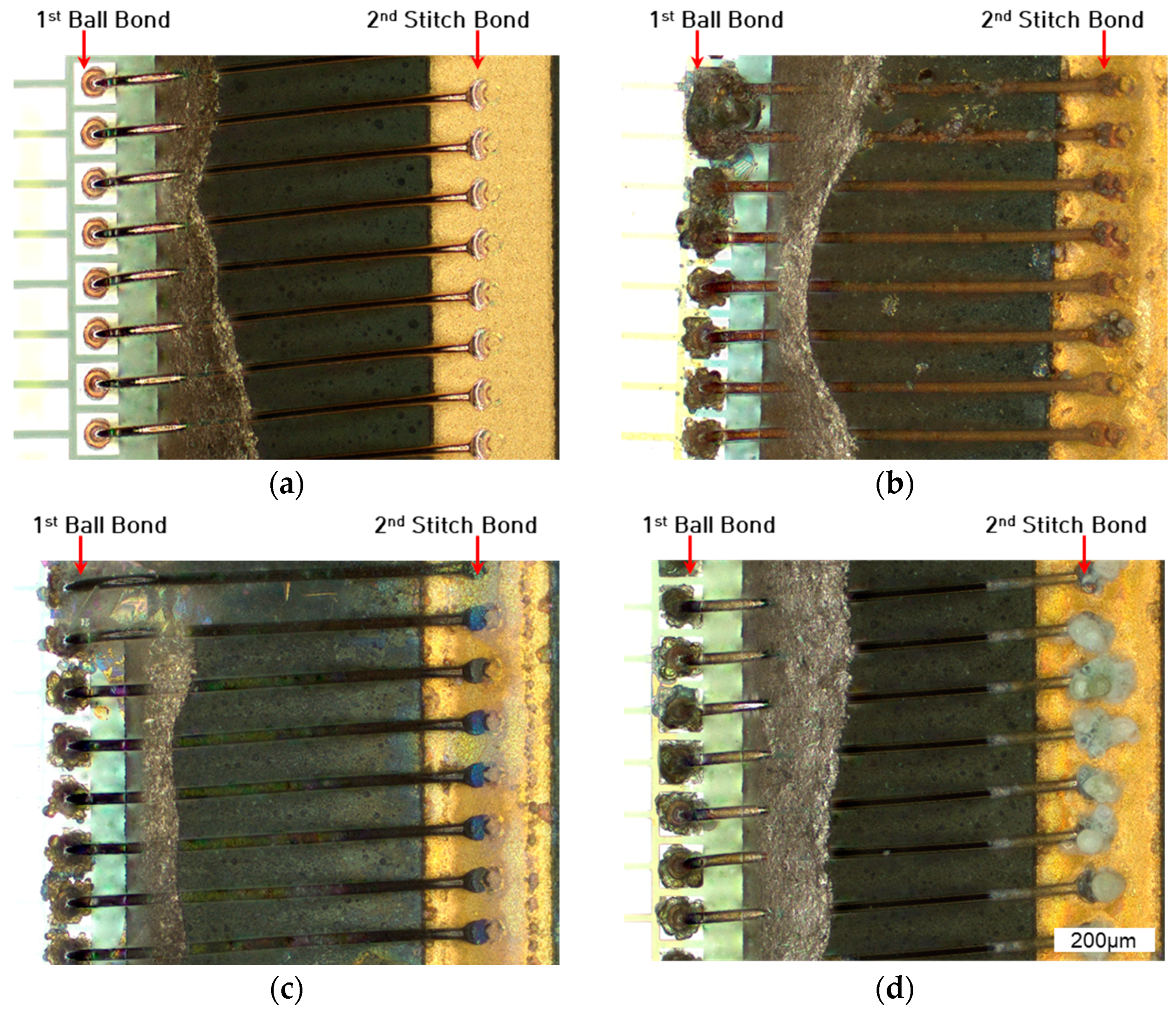 Coatings 14 00544 g009