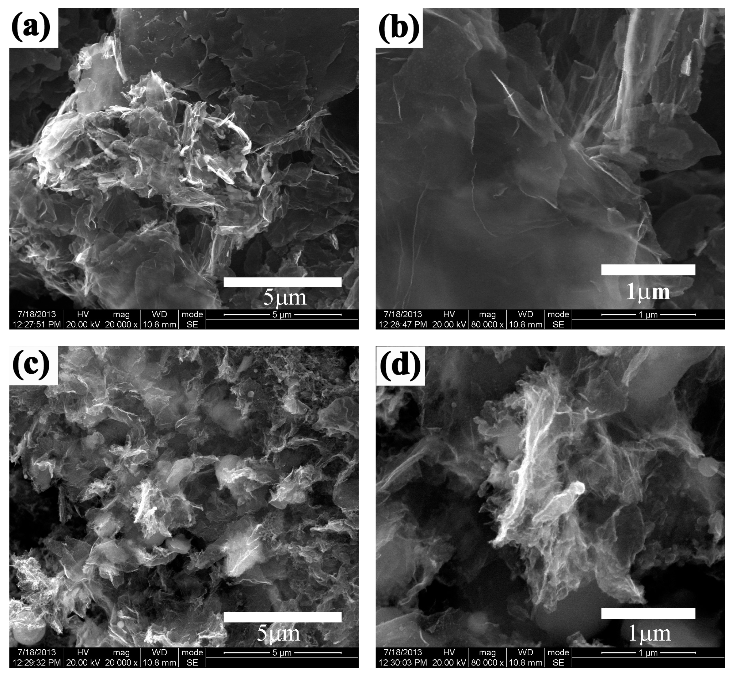 Coatings 14 00545 g004