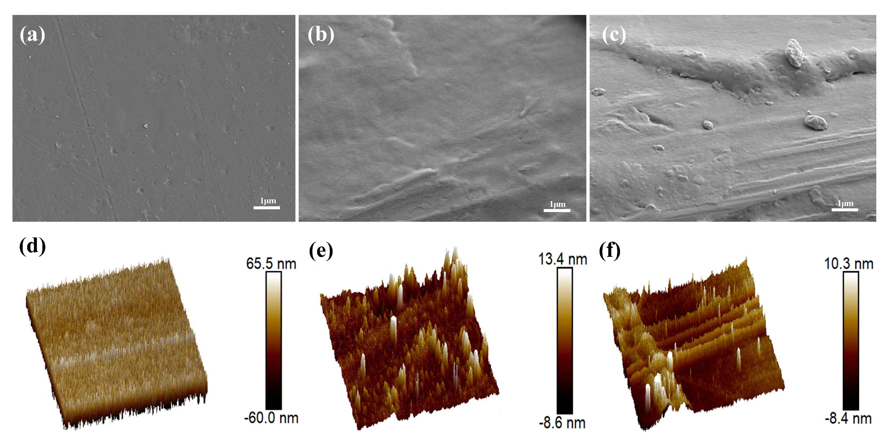 Coatings 14 00546 g004