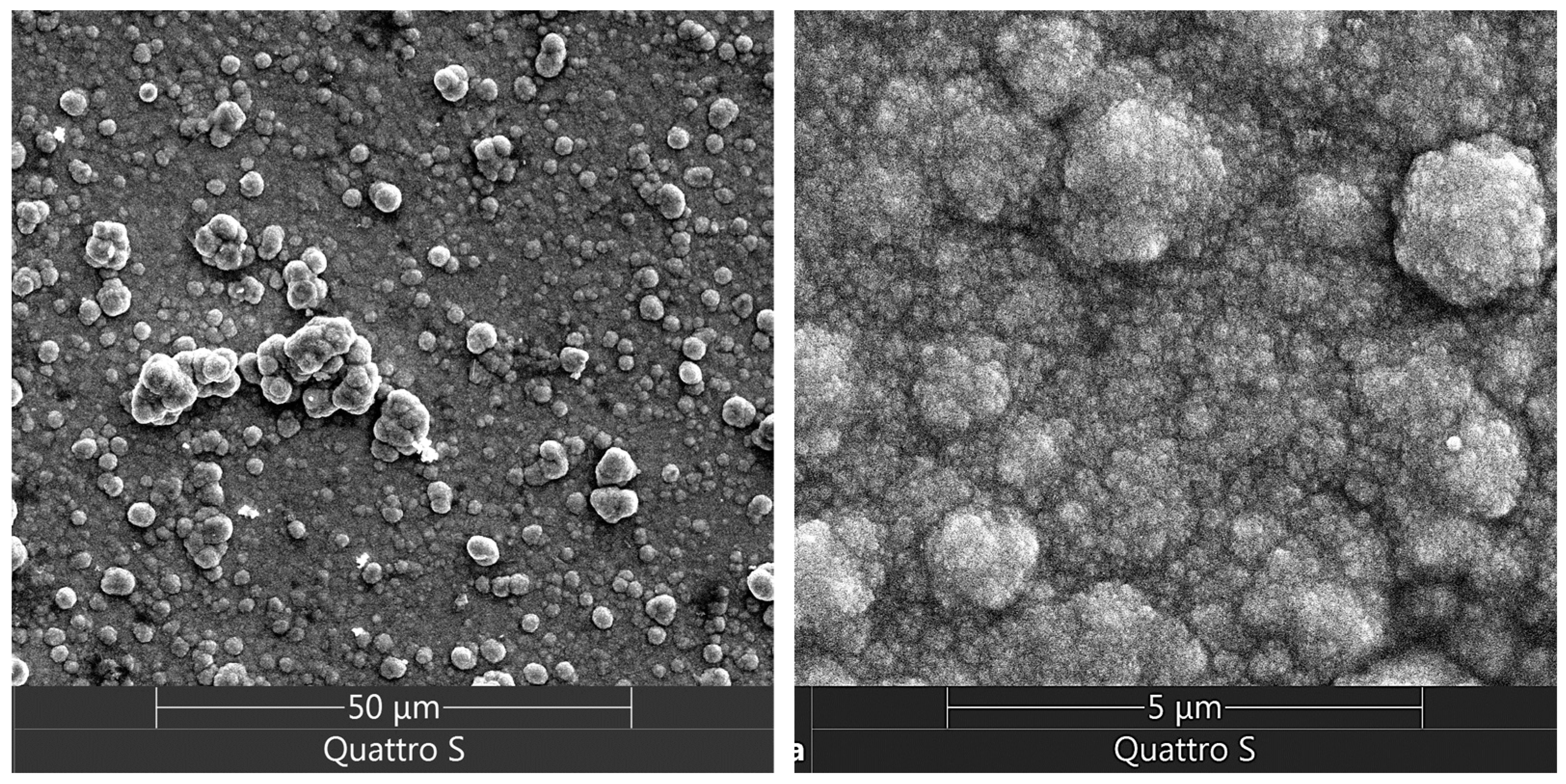 Coatings 14 00547 g005