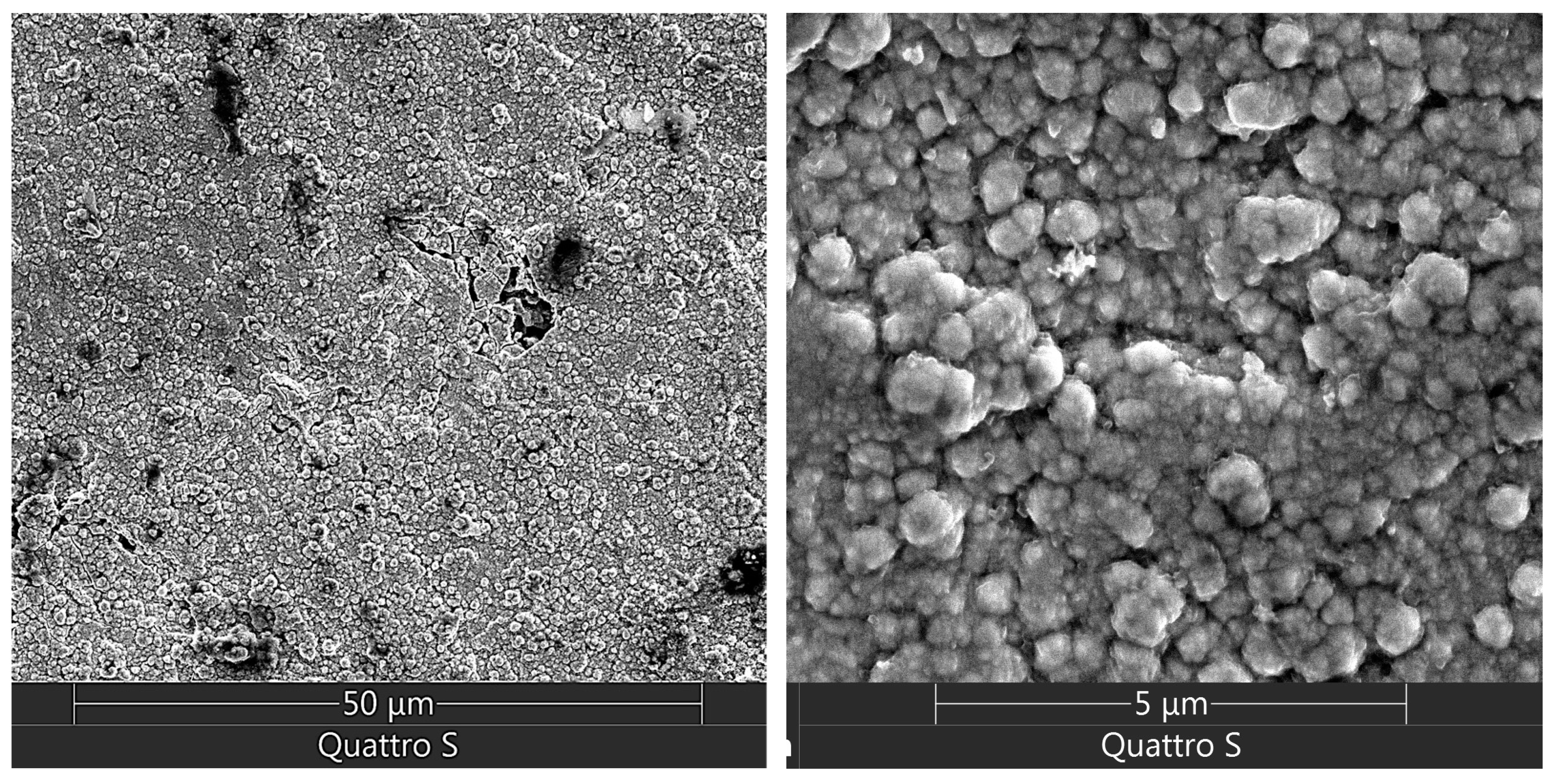 Coatings 14 00547 g007