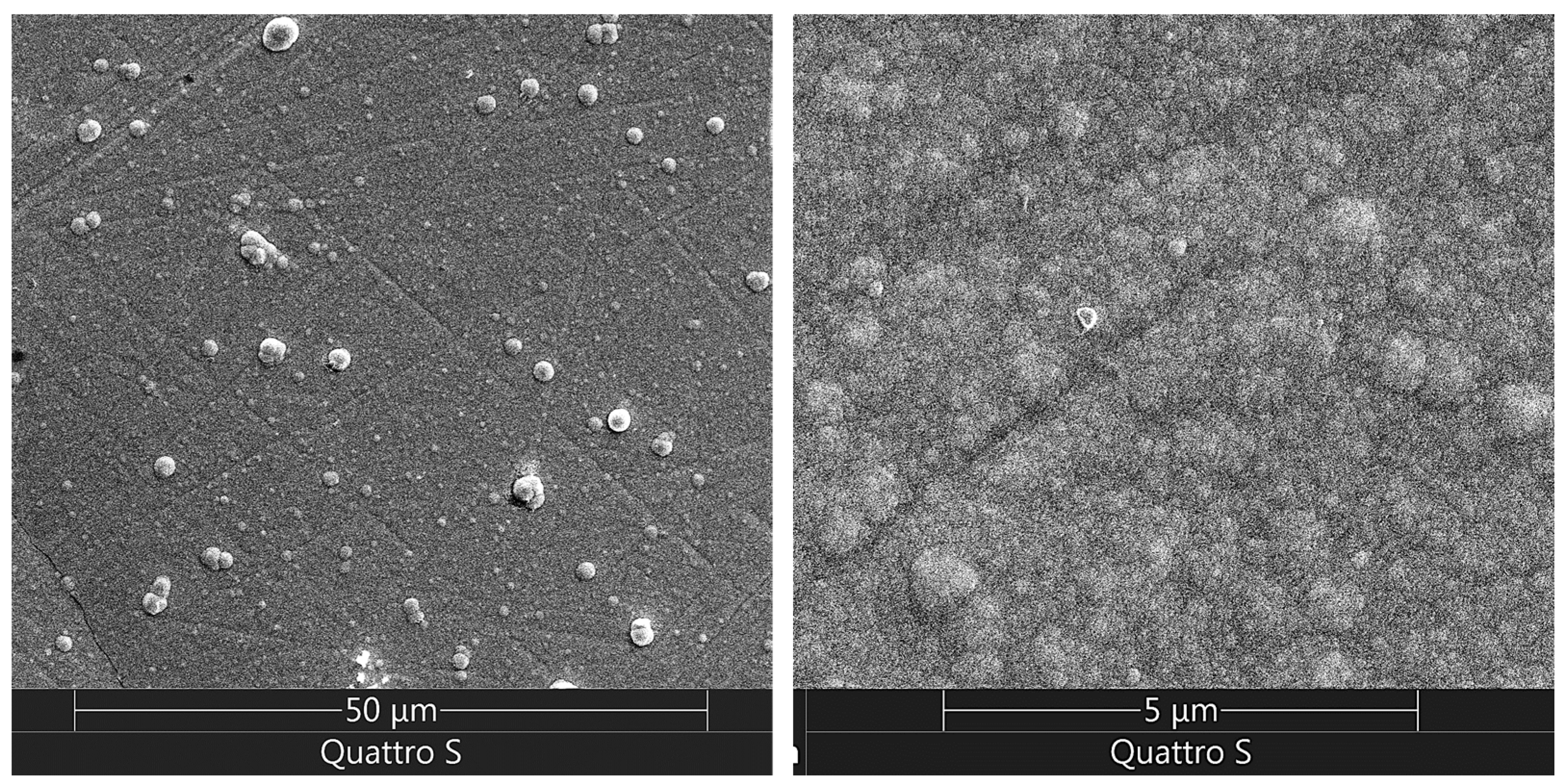 Coatings 14 00547 g009