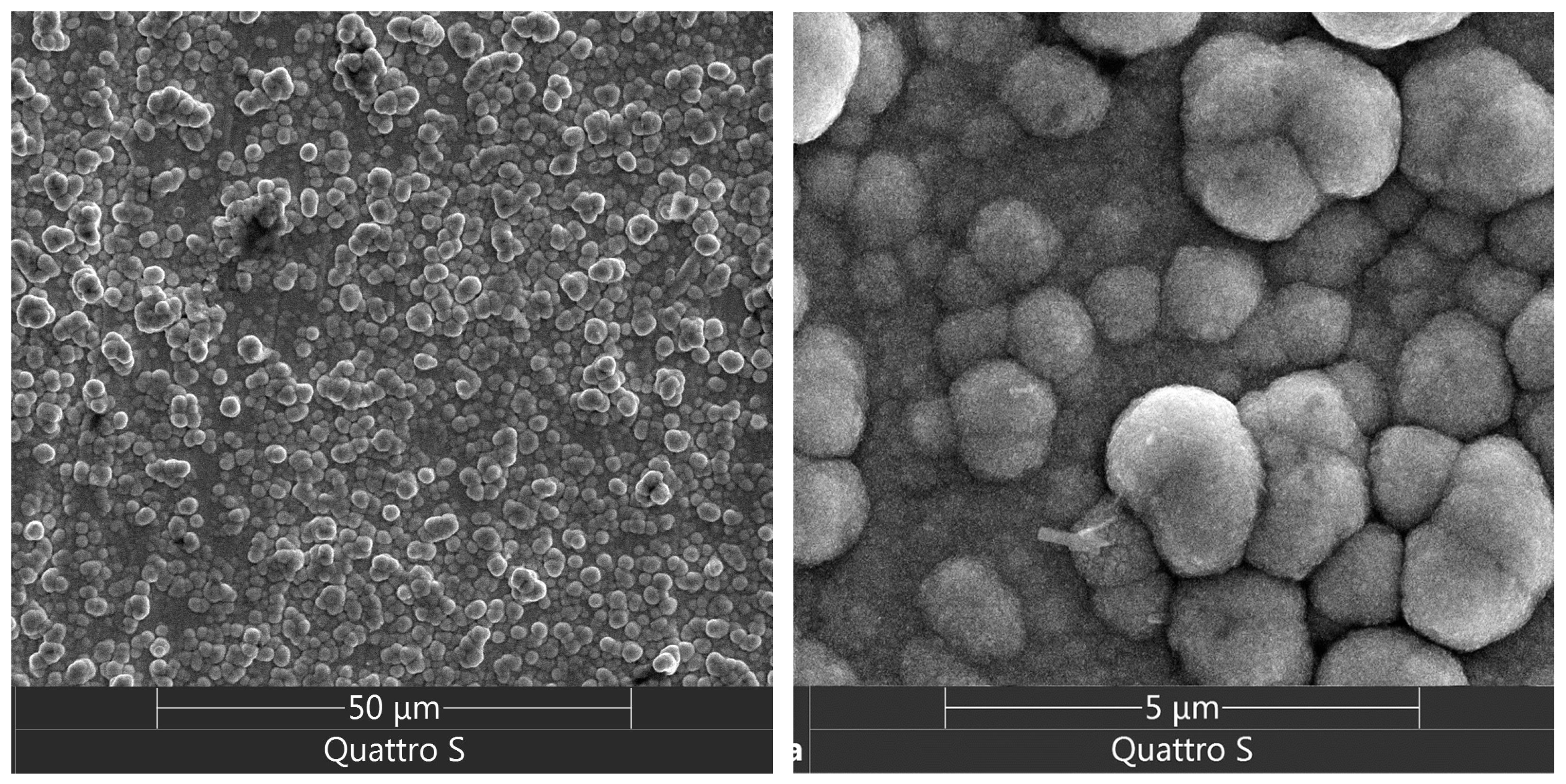 Coatings 14 00547 g011