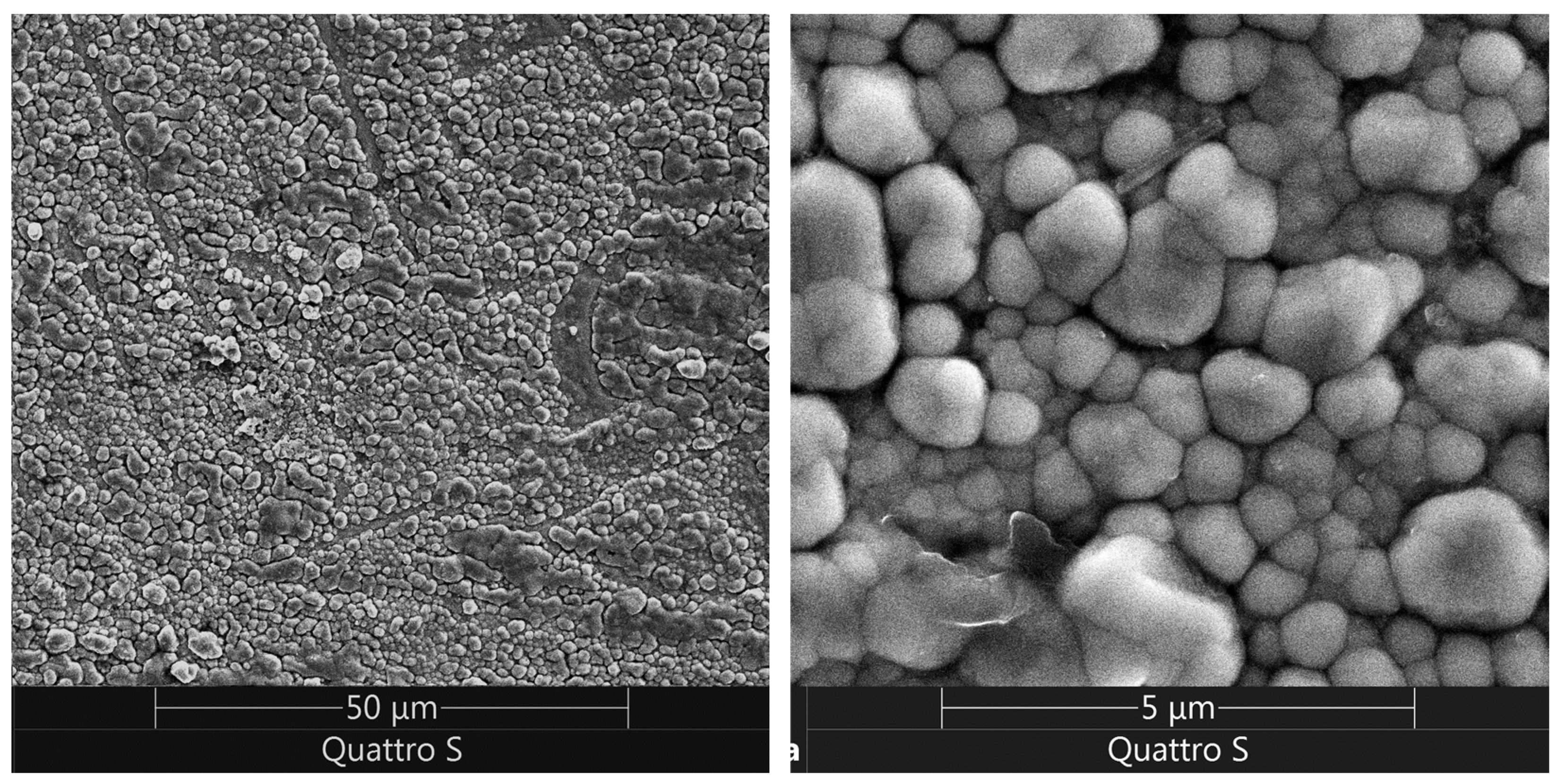 Coatings 14 00547 g013