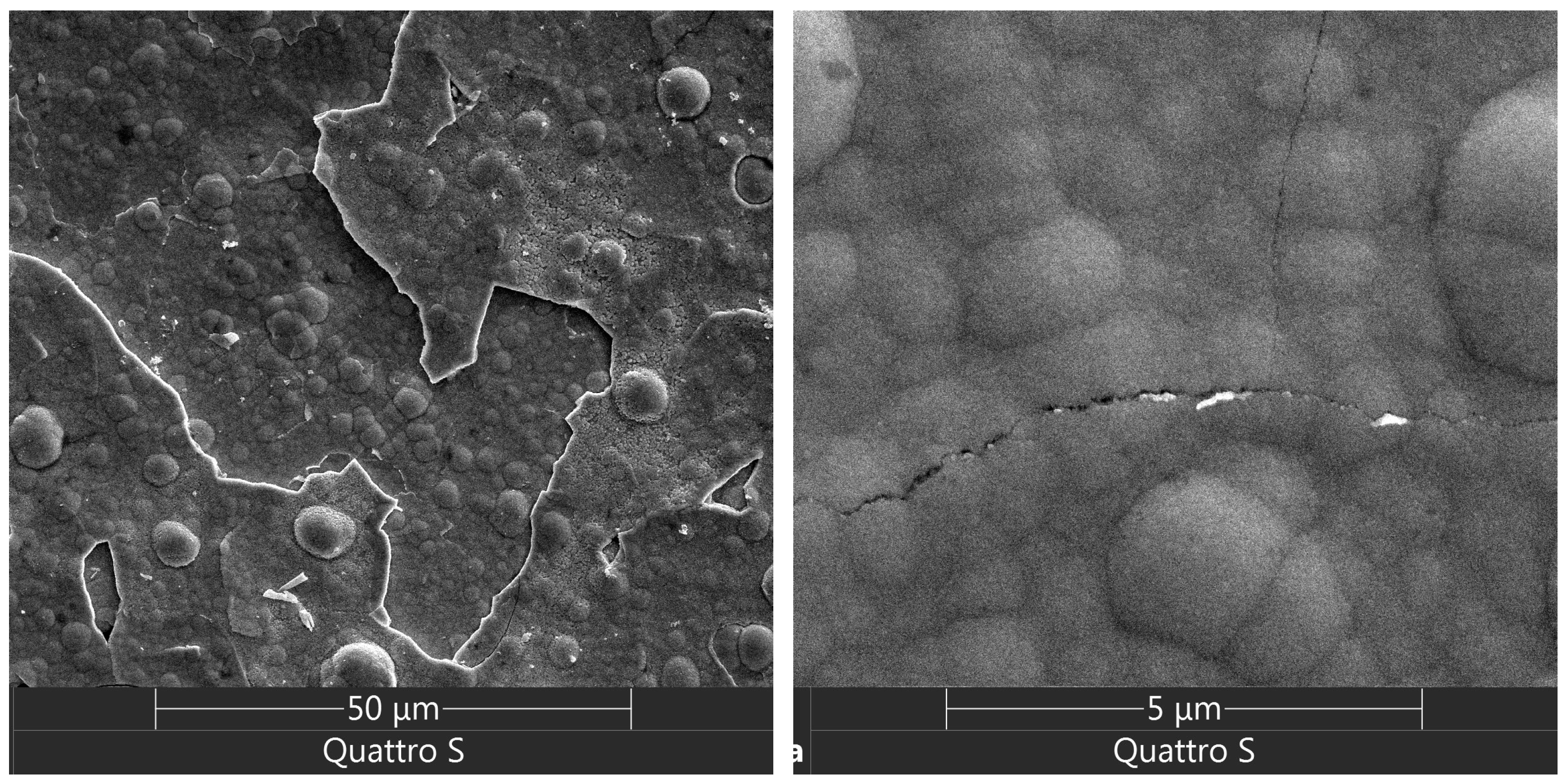 Coatings 14 00547 g015