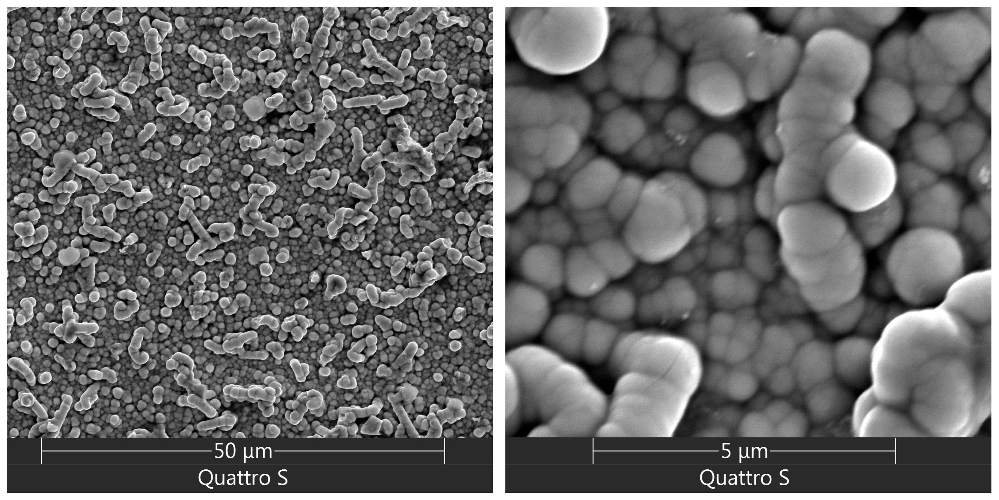 Coatings 14 00547 g018