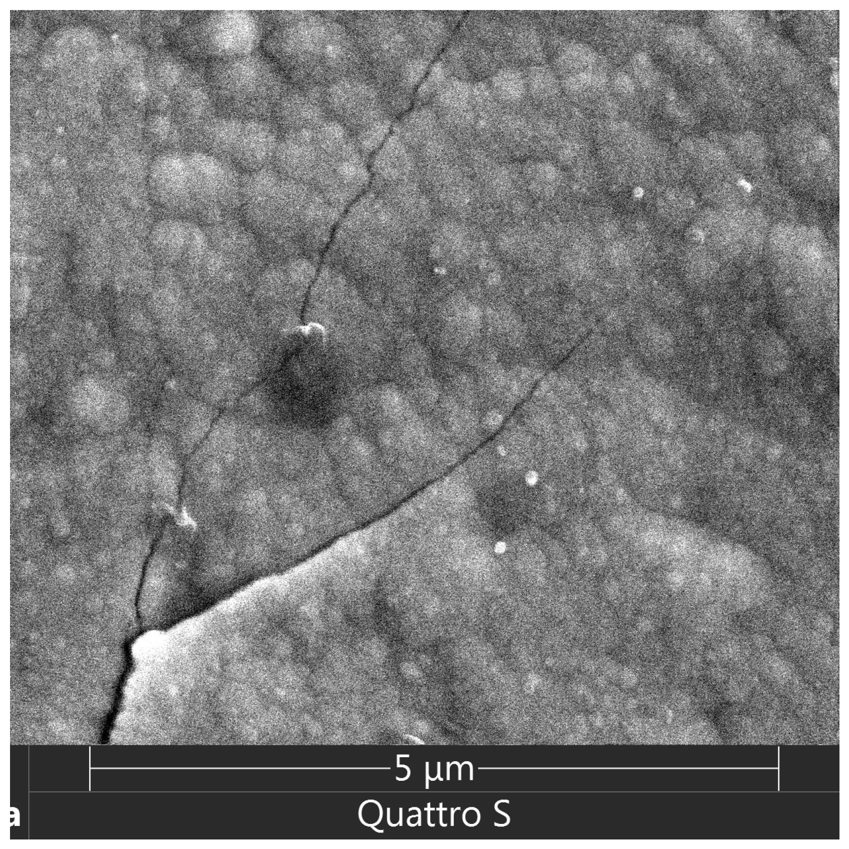 Coatings 14 00547 g020