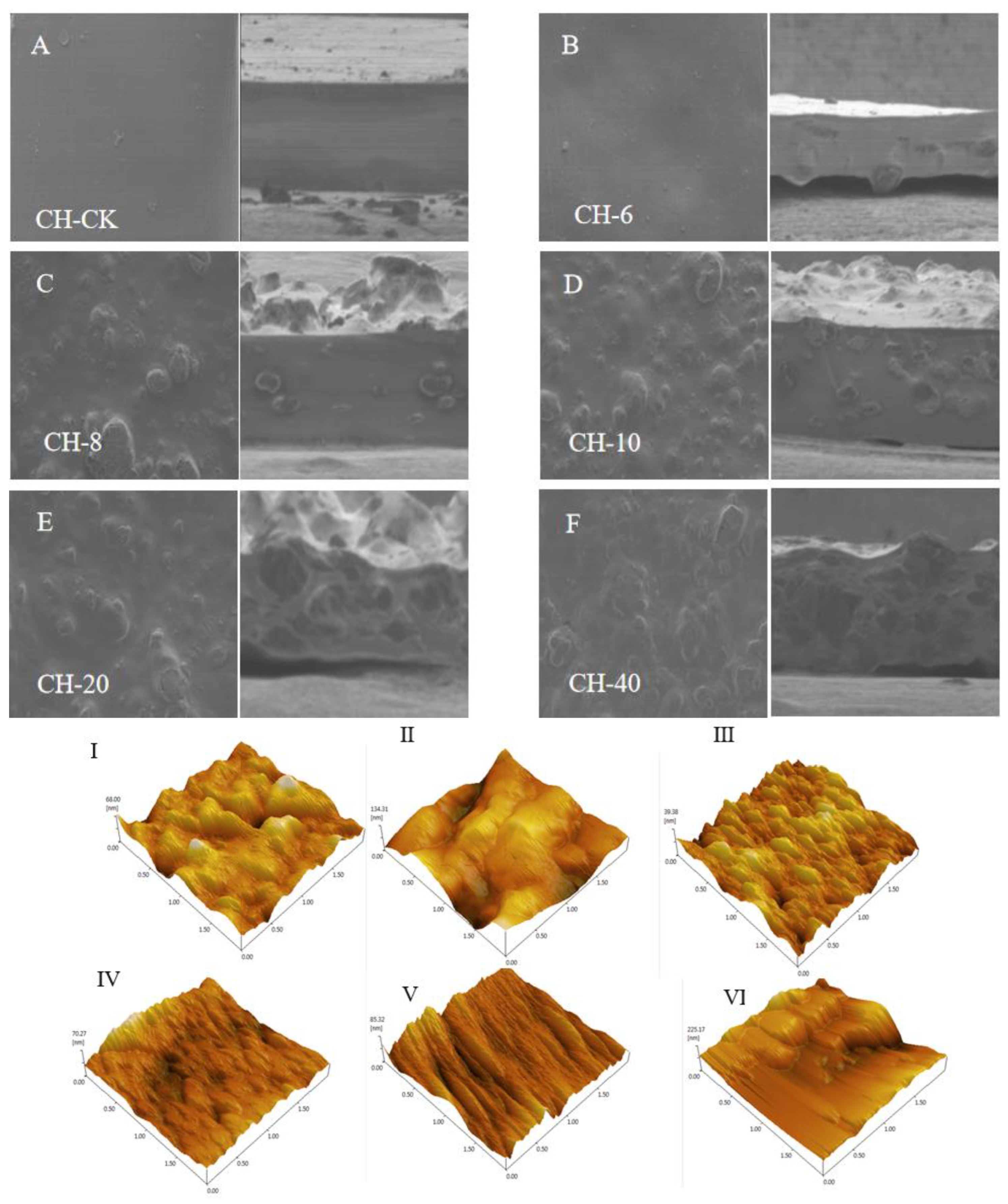 Coatings 14 00548 g003