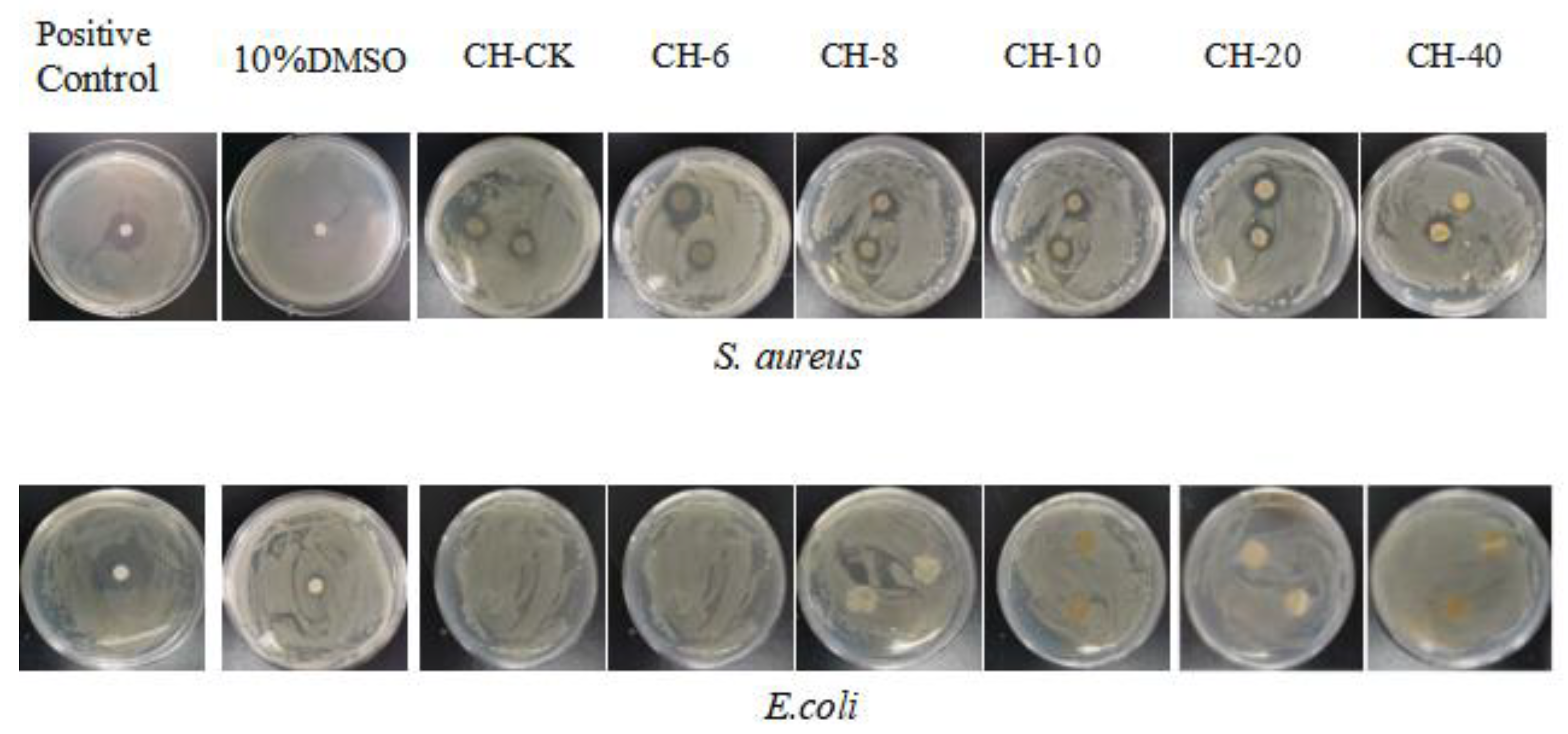 Coatings 14 00548 g005