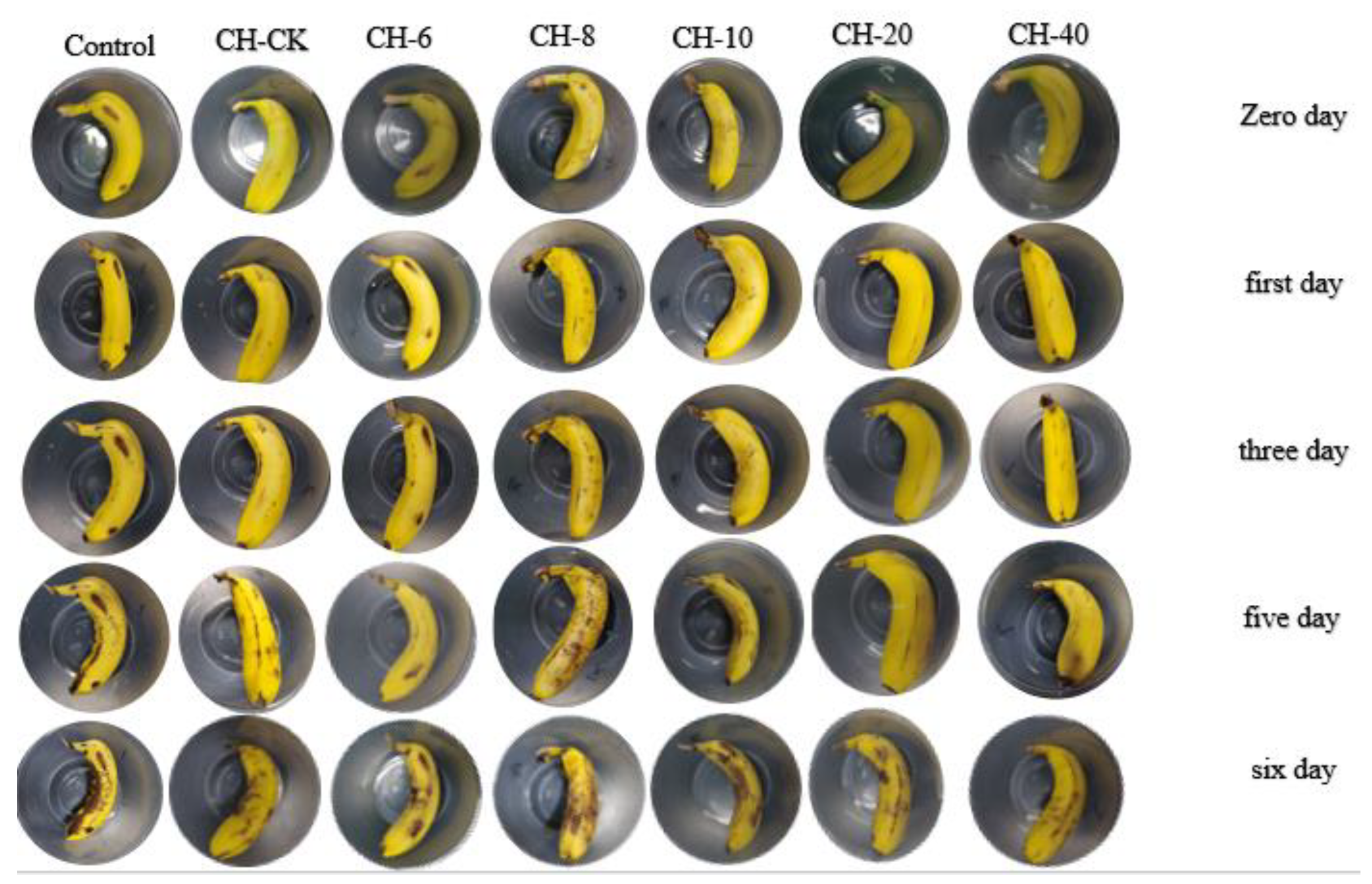 Coatings 14 00548 g007b