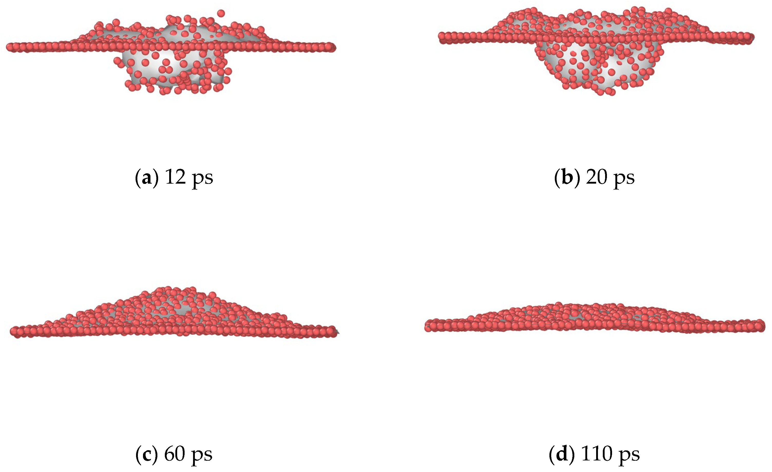 Coatings 14 00549 g011