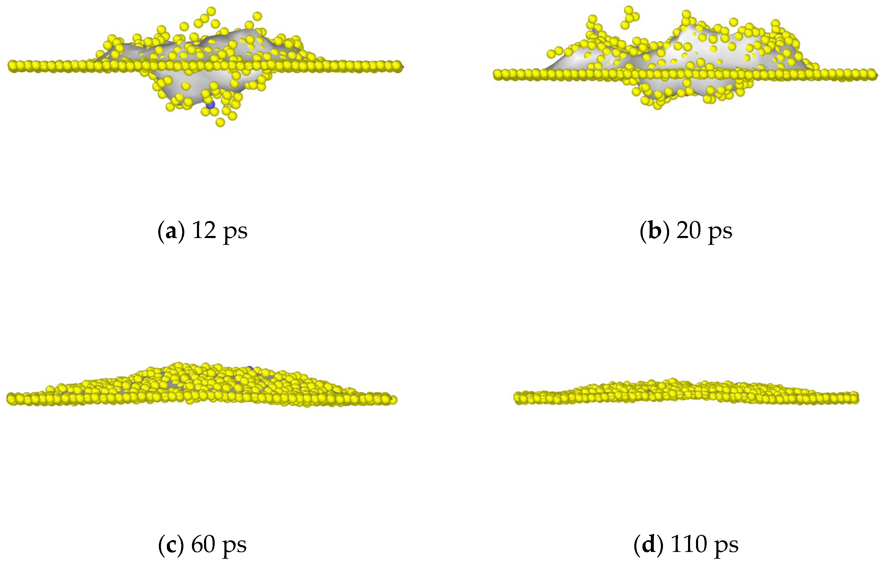 Coatings 14 00549 g012