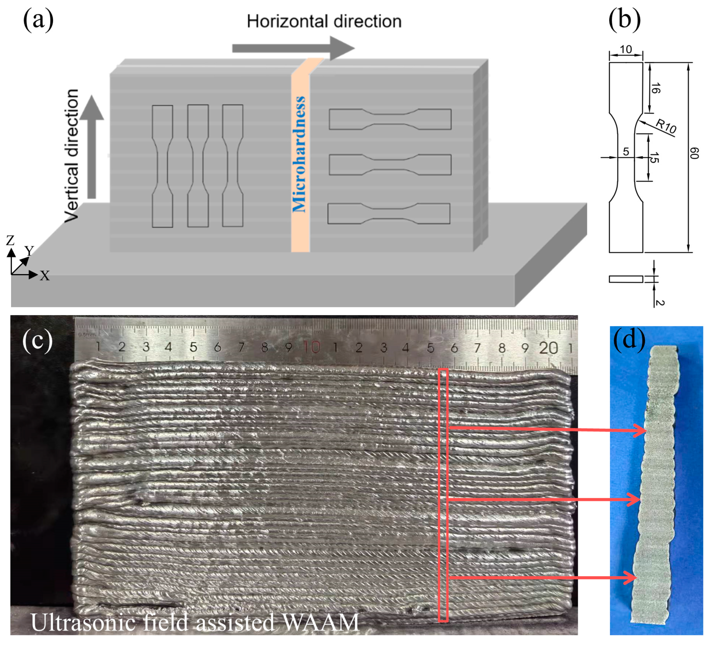 Coatings 14 00551 g002