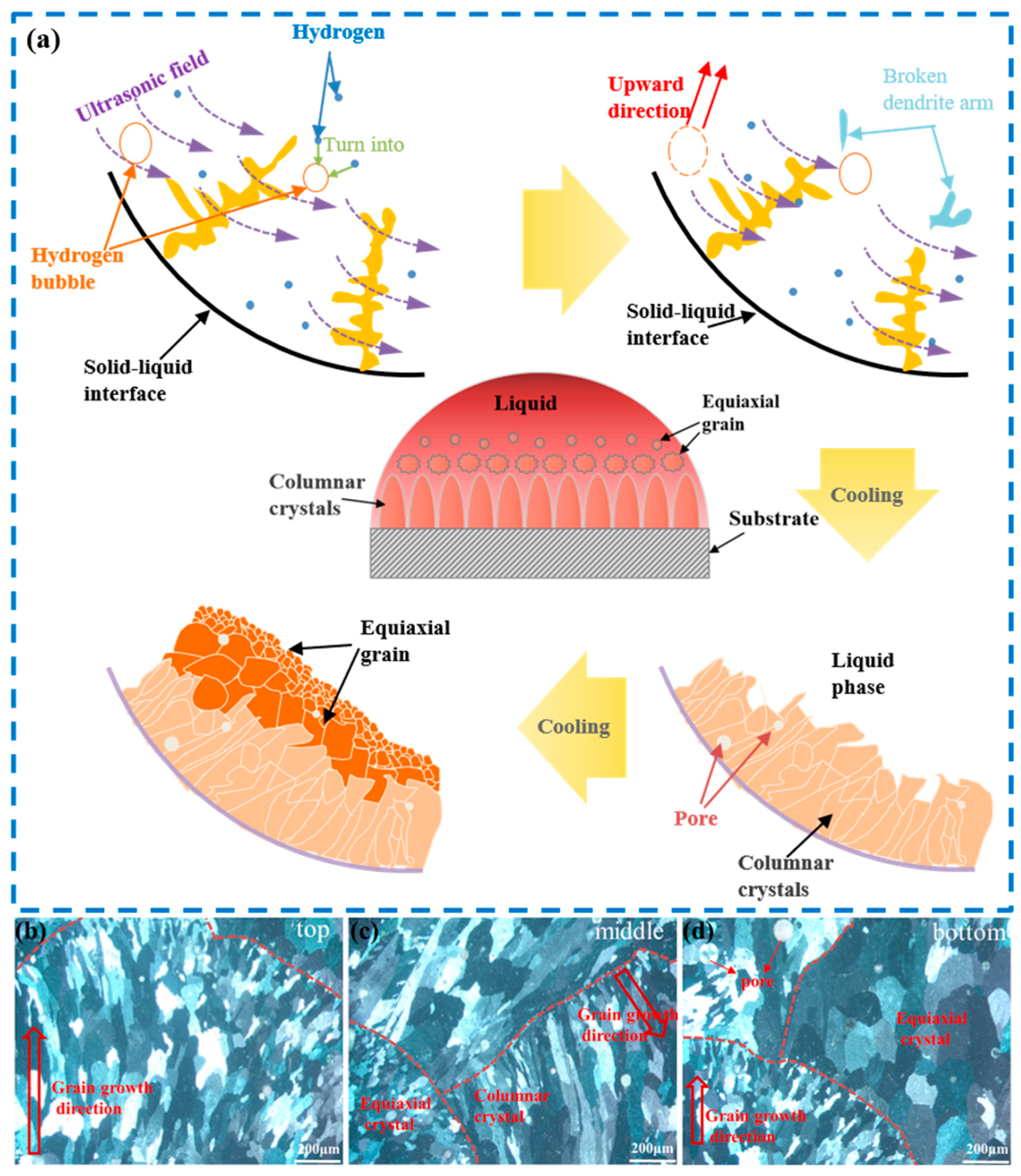 Coatings 14 00551 g004