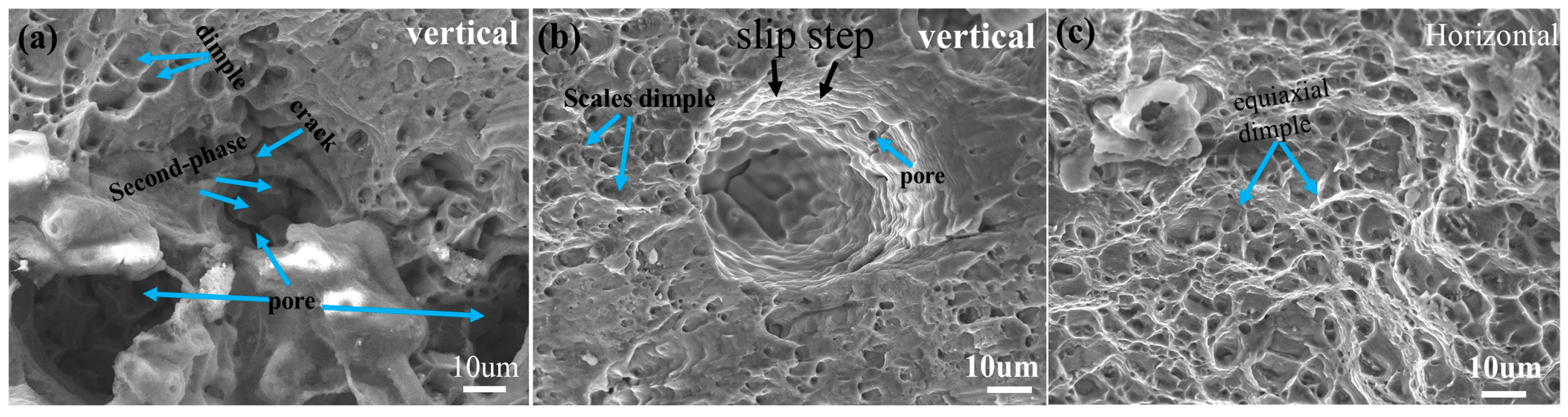Coatings 14 00551 g012