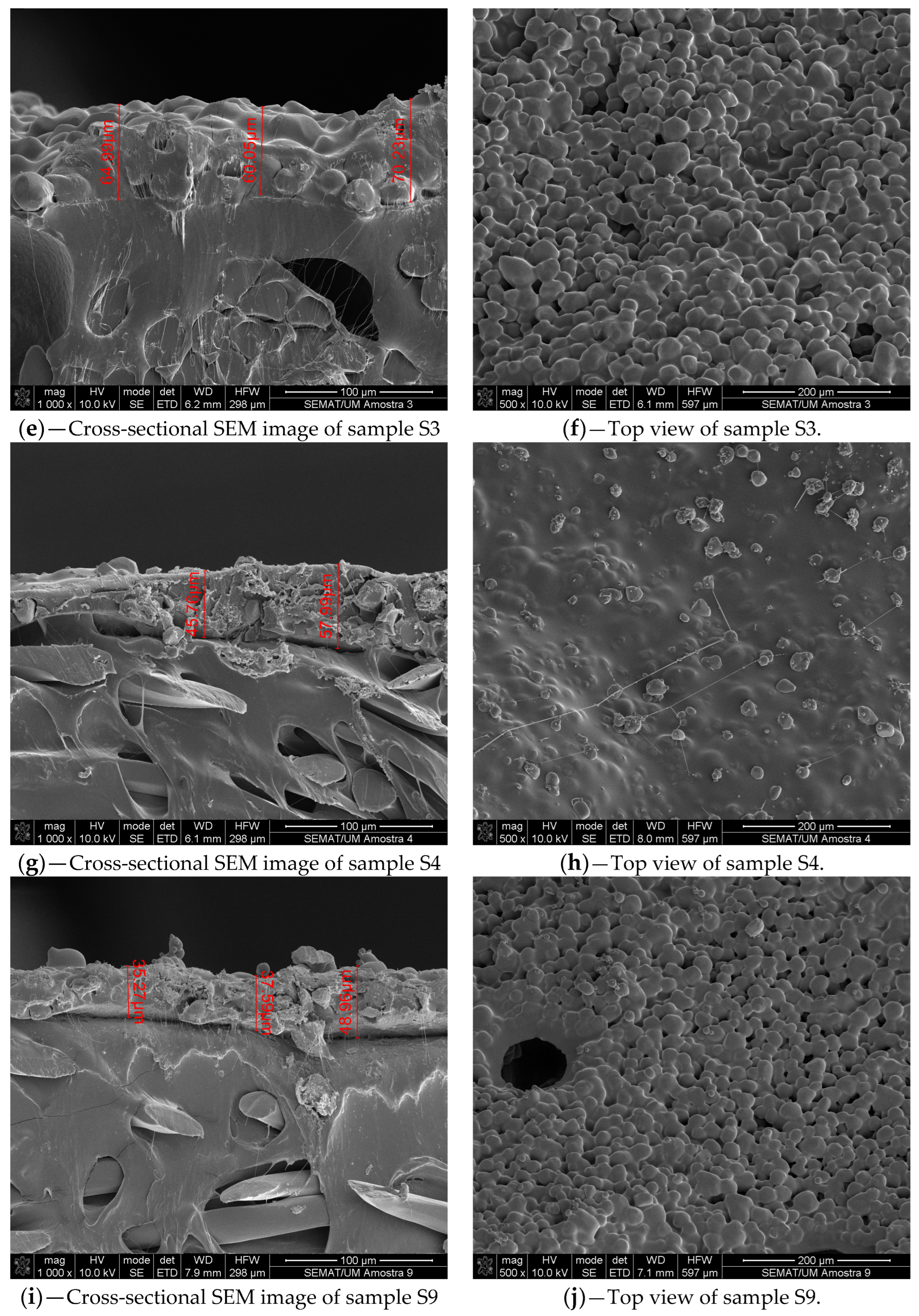 Coatings 14 00554 g005b
