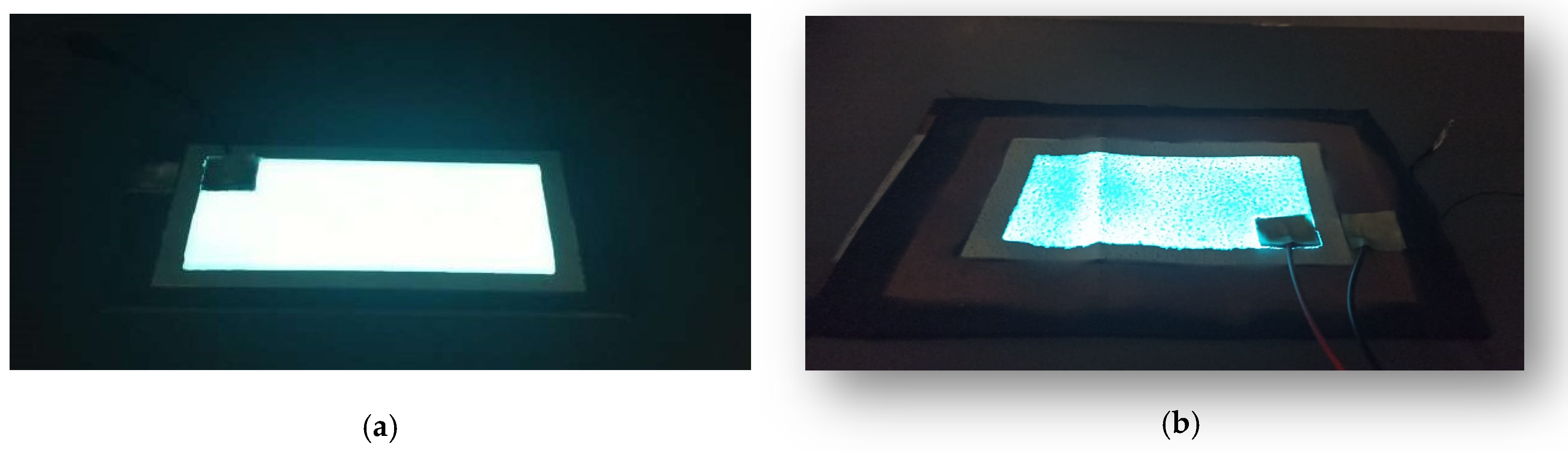 Coatings 14 00554 g006