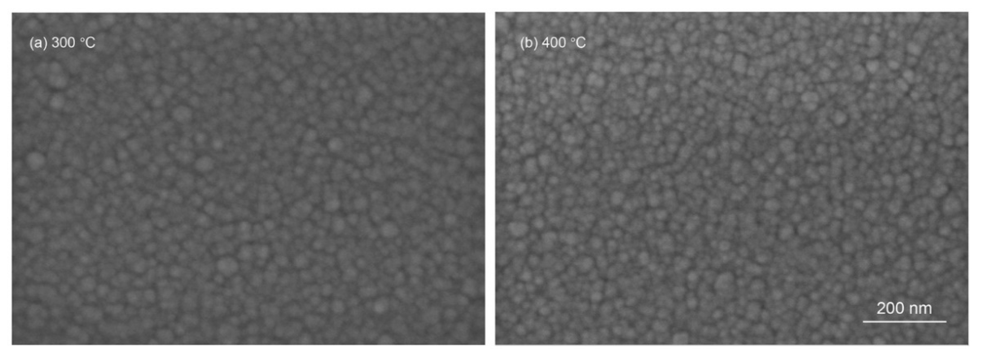 Coatings 14 00555 g005