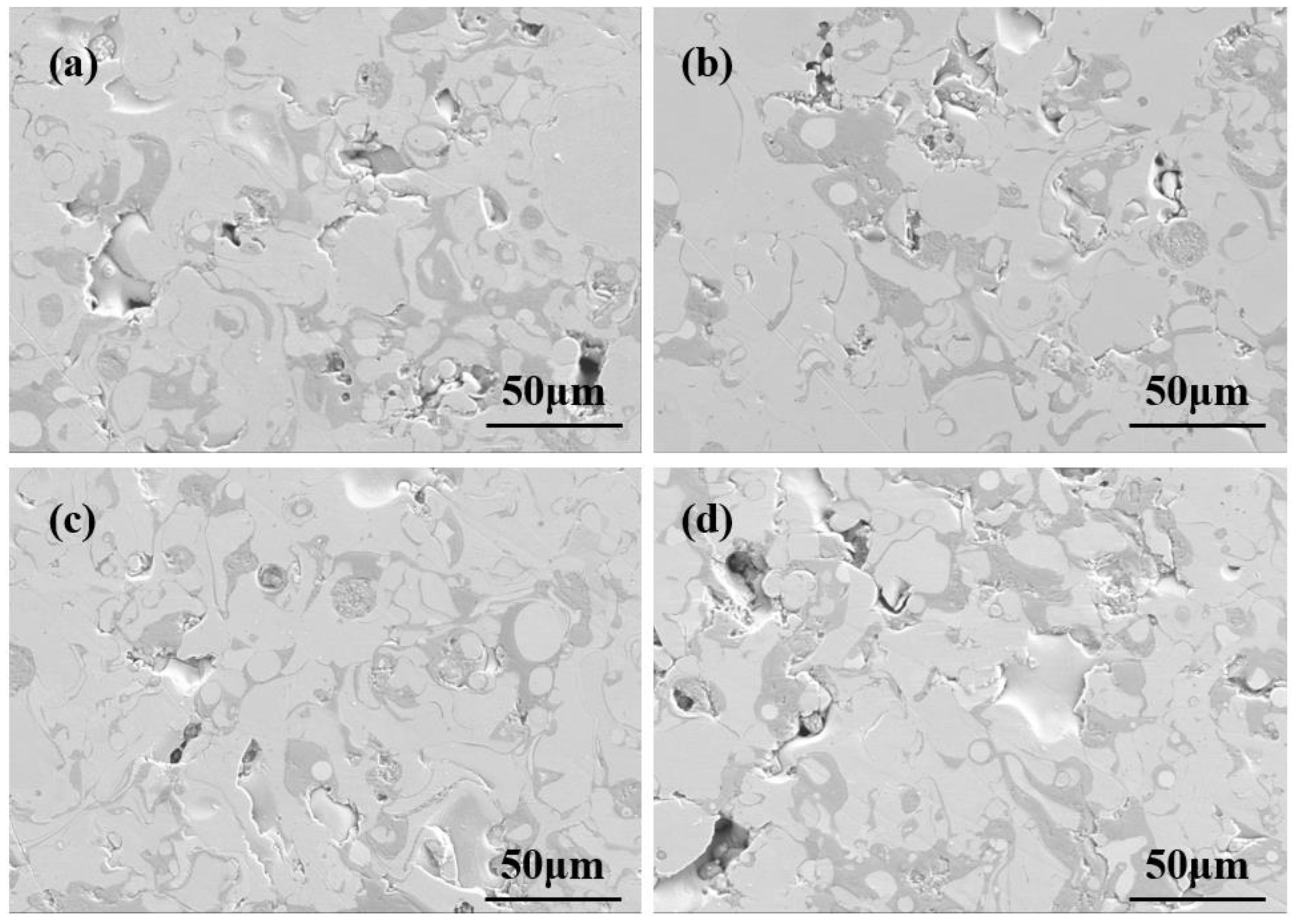 Coatings 14 00556 g003