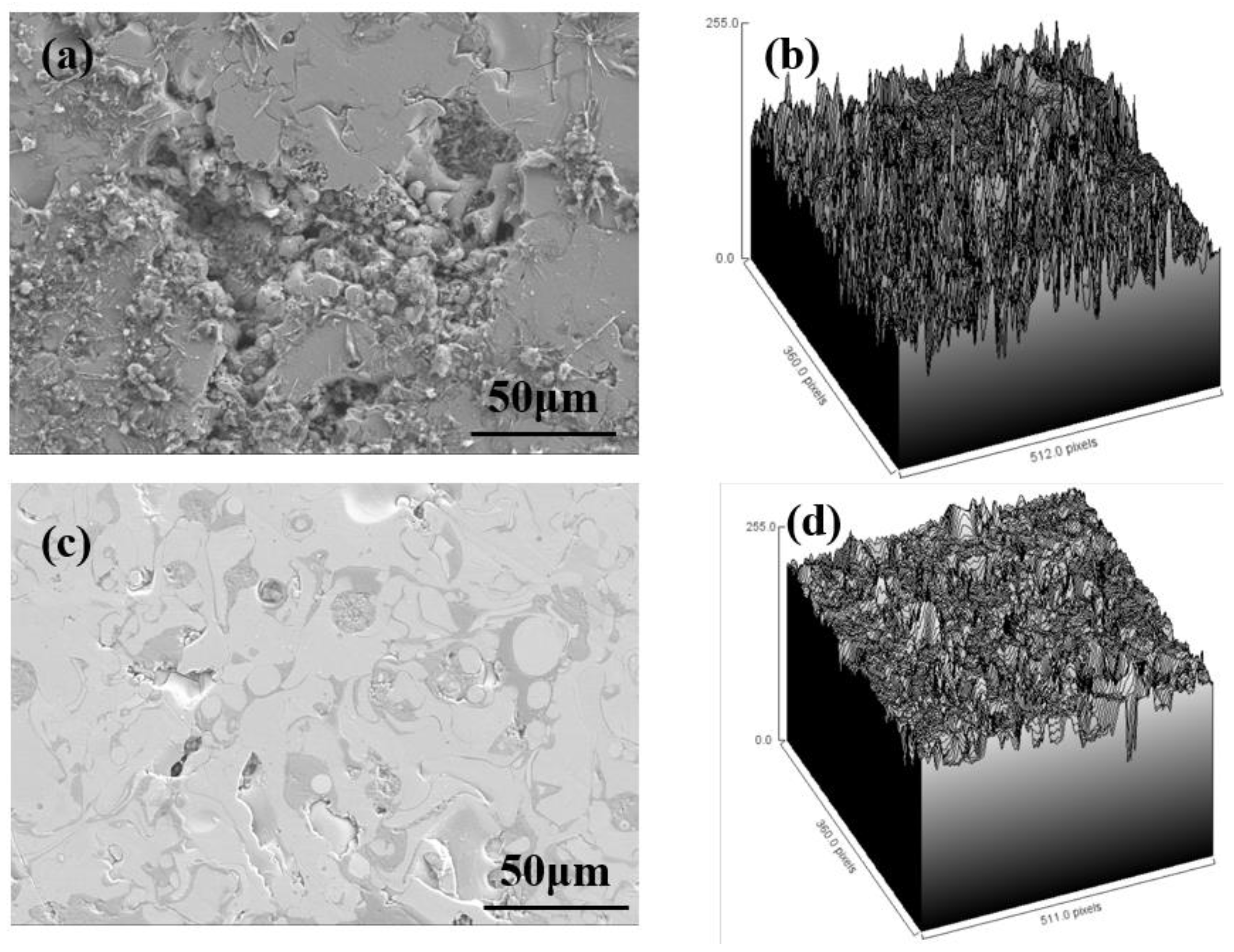 Coatings 14 00556 g012