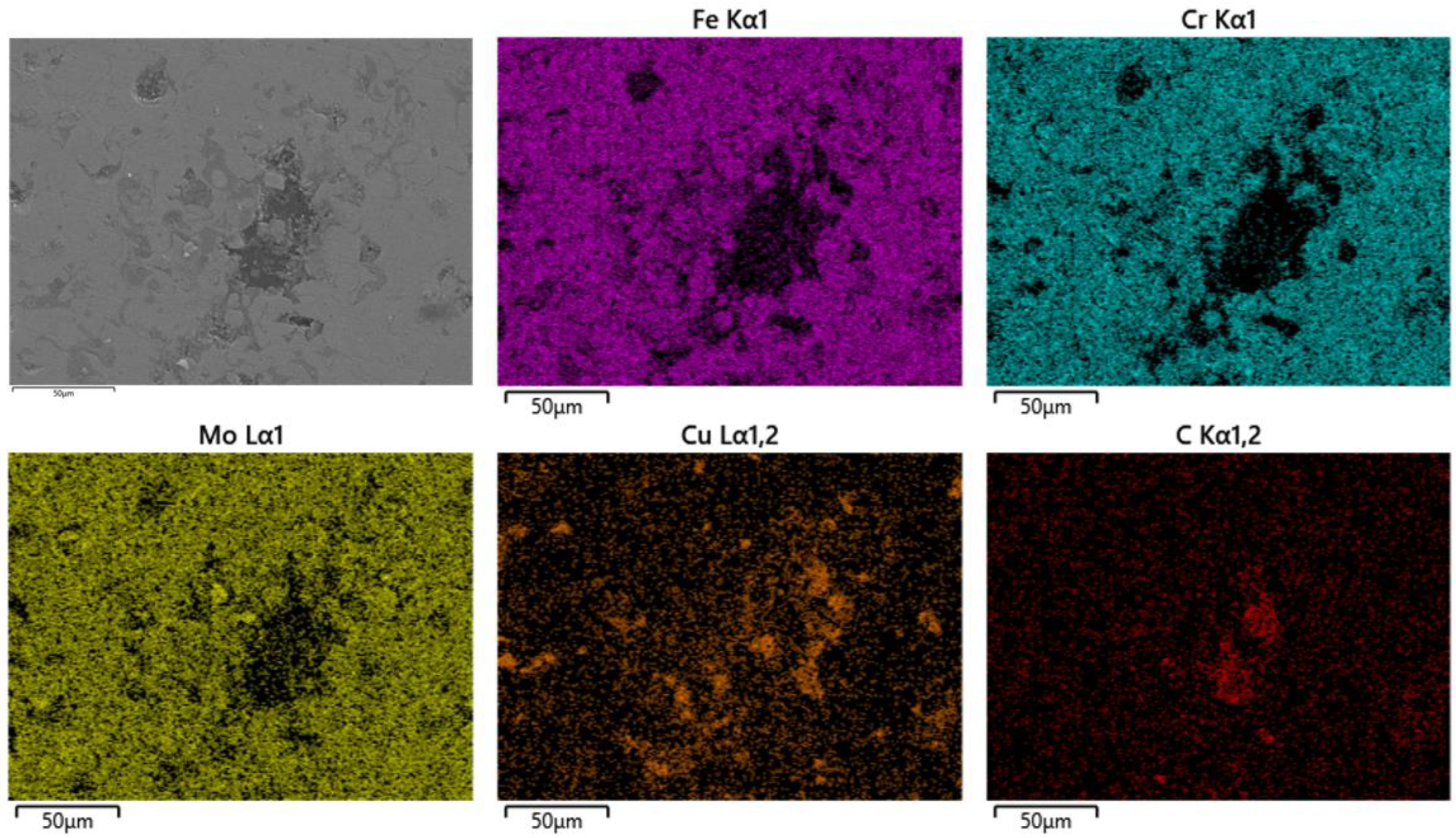Coatings 14 00556 g013