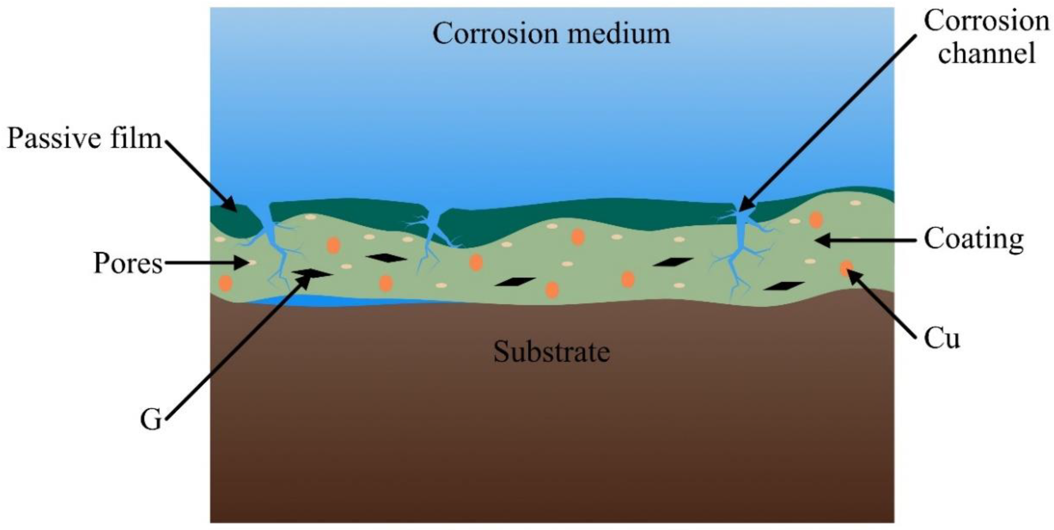Coatings 14 00556 g016
