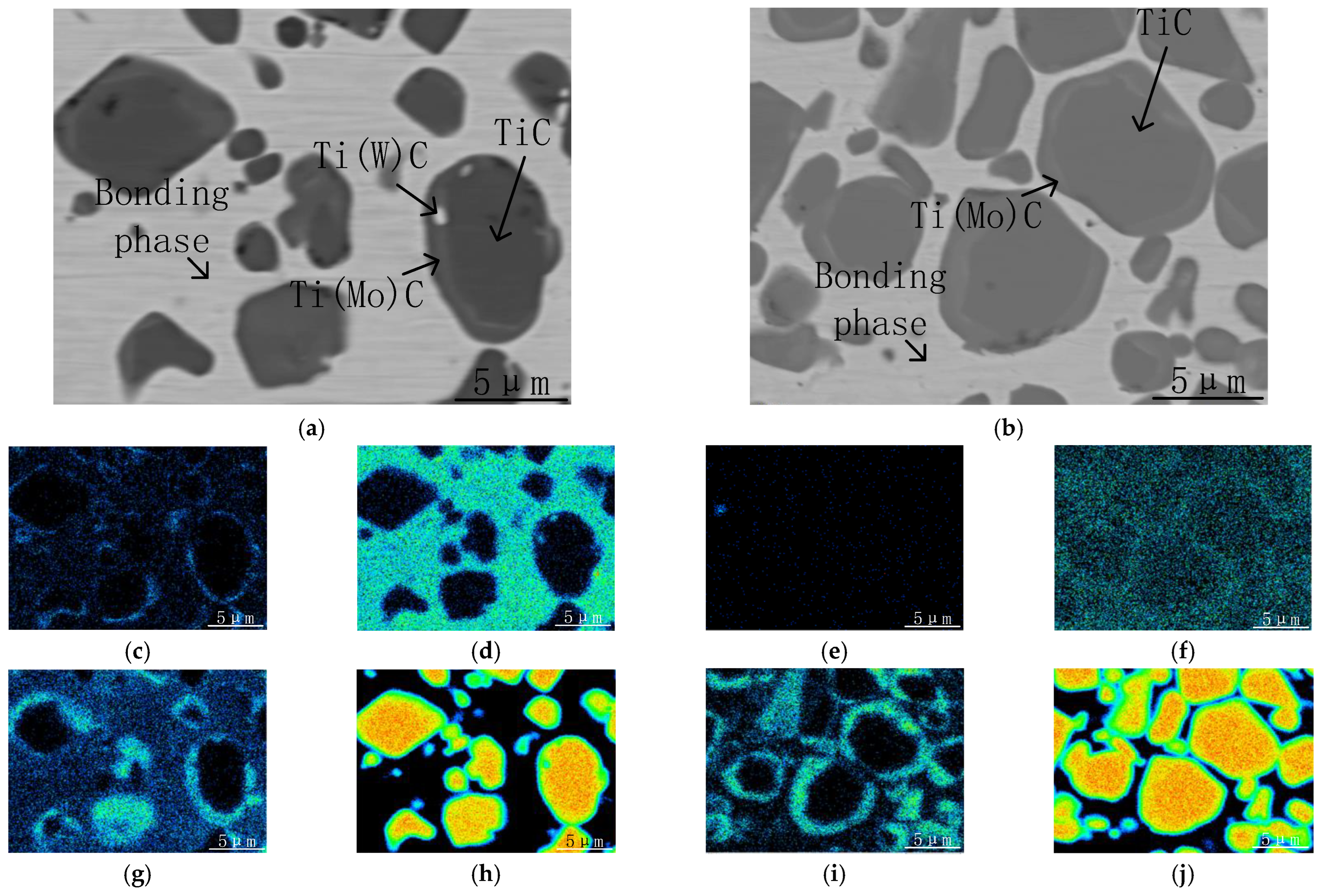 Coatings 14 00558 g002